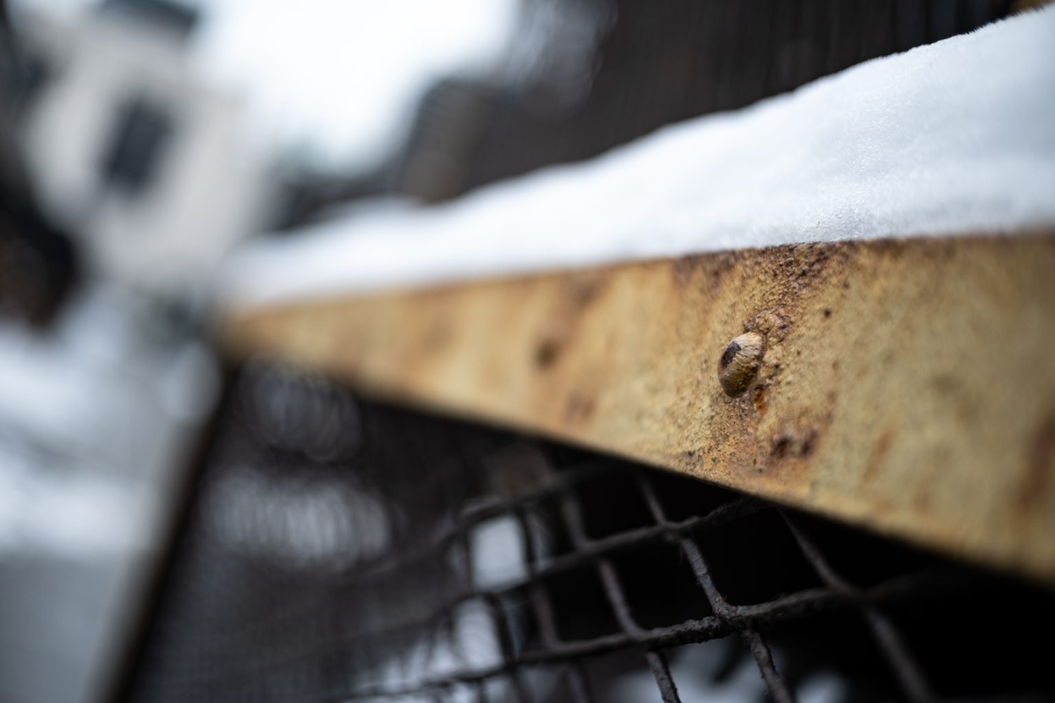 Zdjęcia przykładowe 2000px z aparatu Nikon Z fc  i obiektywu TTArtisan 25mm F2