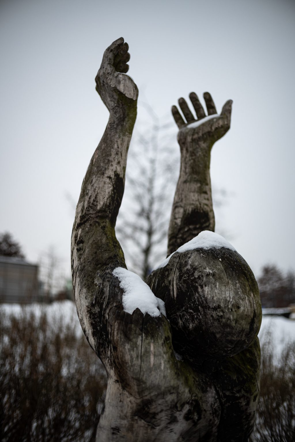 Zdjęcia przykładowe 2000px z aparatu Nikon Z fc  i obiektywu TTArtisan 25mm F2