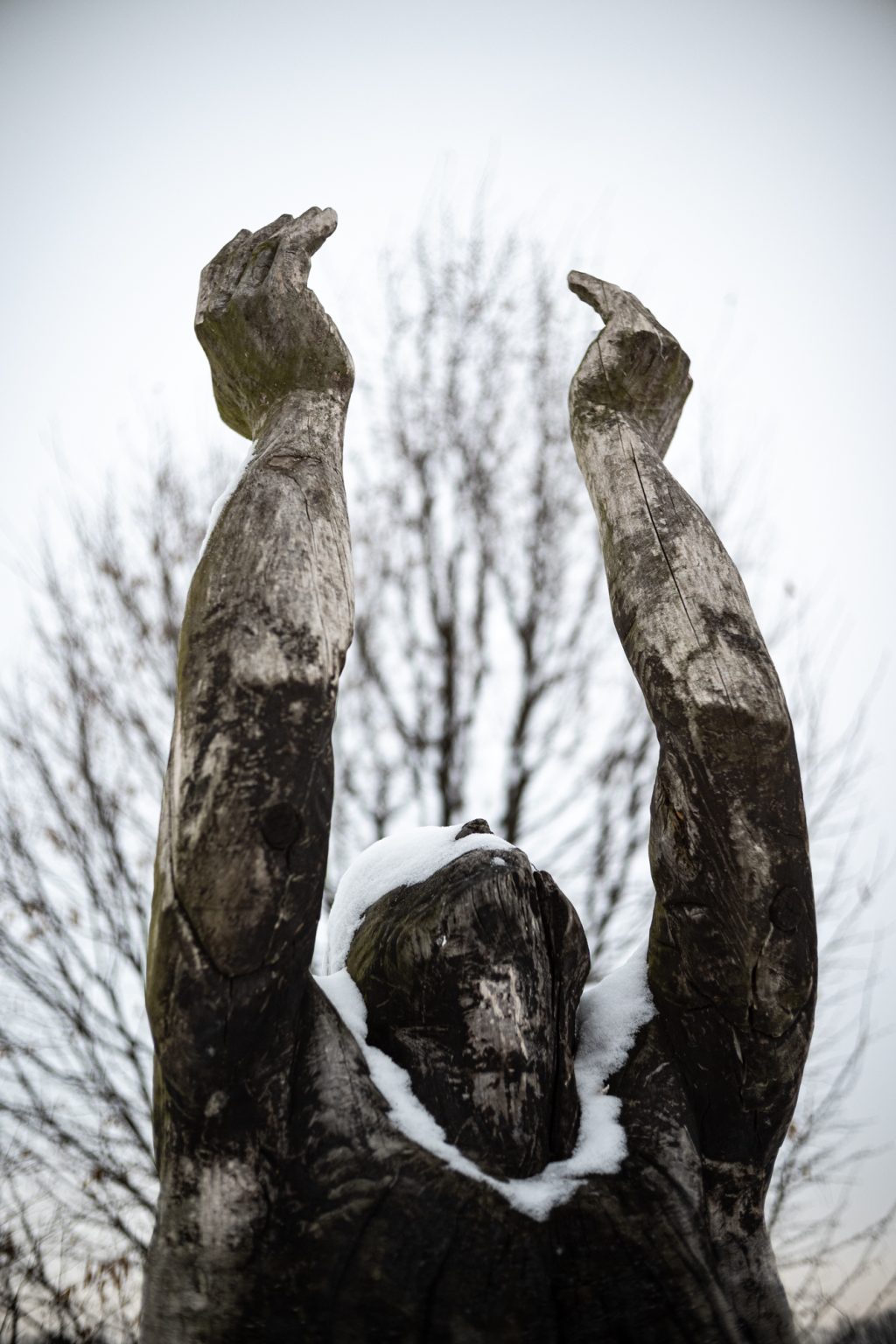 Zdjęcia przykładowe 2000px z aparatu Nikon Z fc  i obiektywu TTArtisan 25mm F2