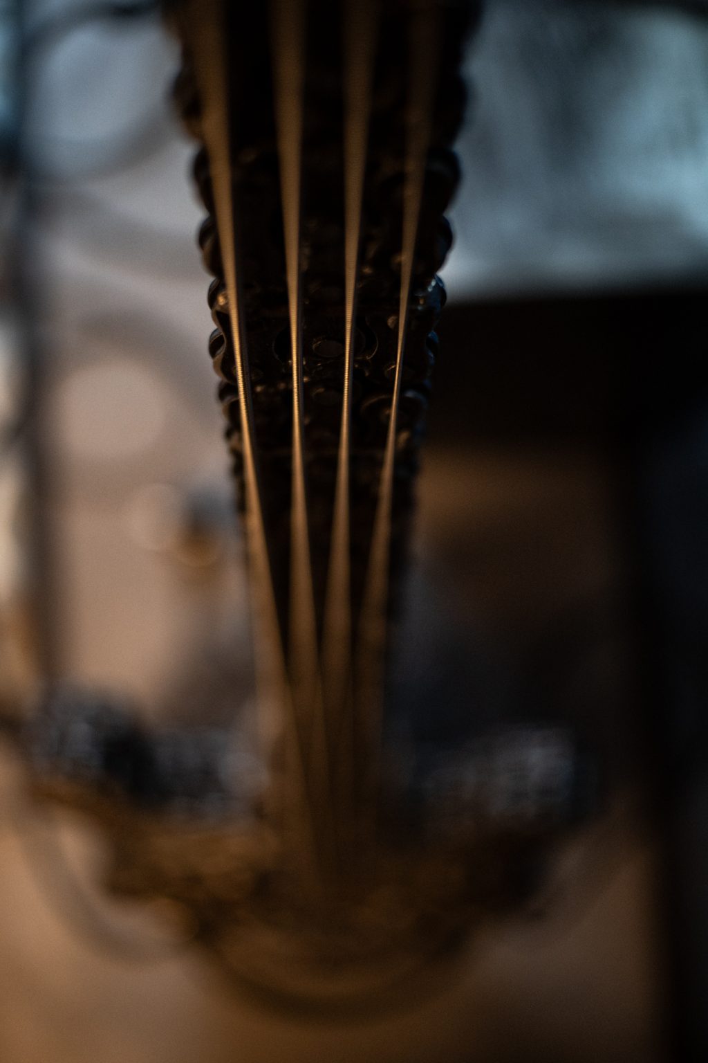 Zdjęcia przykładowe 2000px z aparatu Nikon Z fc  i obiektywu TTArtisan 25mm F2