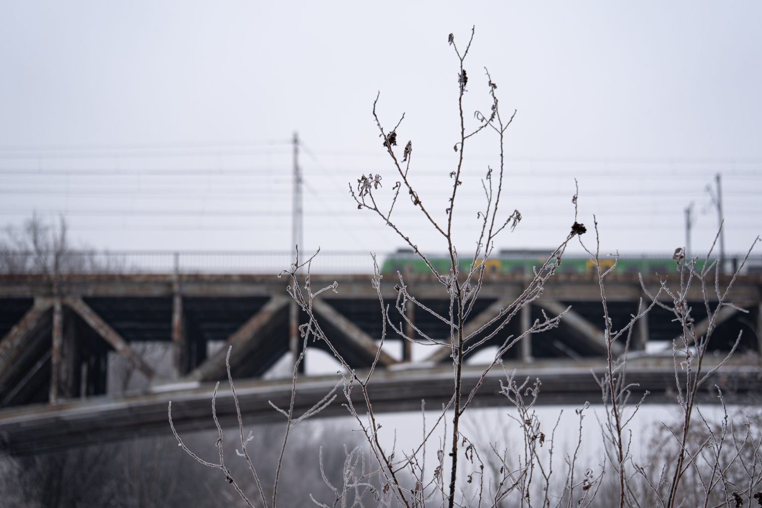 Sony a9iii 70 300mm F4.5 5.6