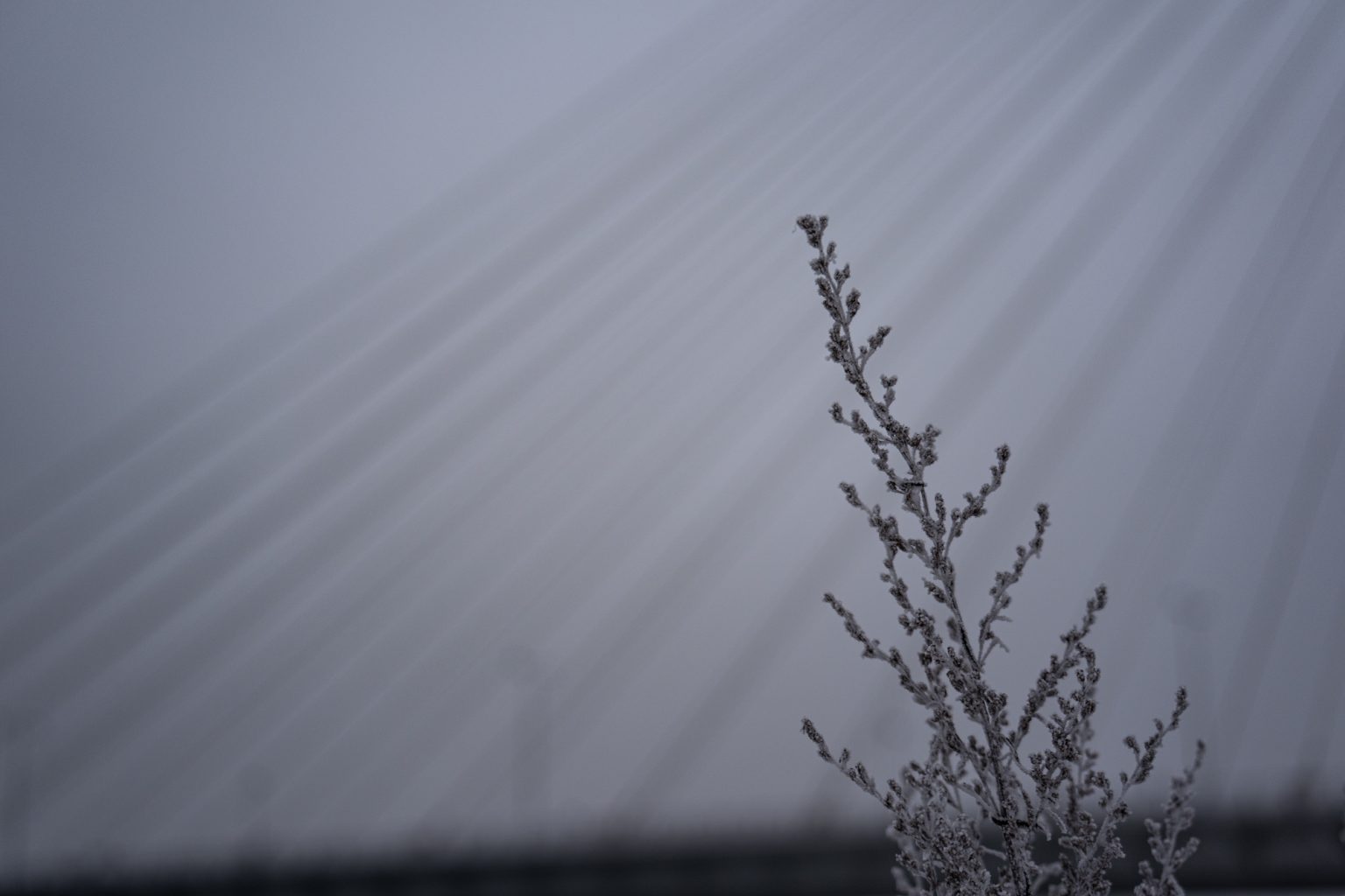 Sony a9iii 70 300mm F4.5 5.6