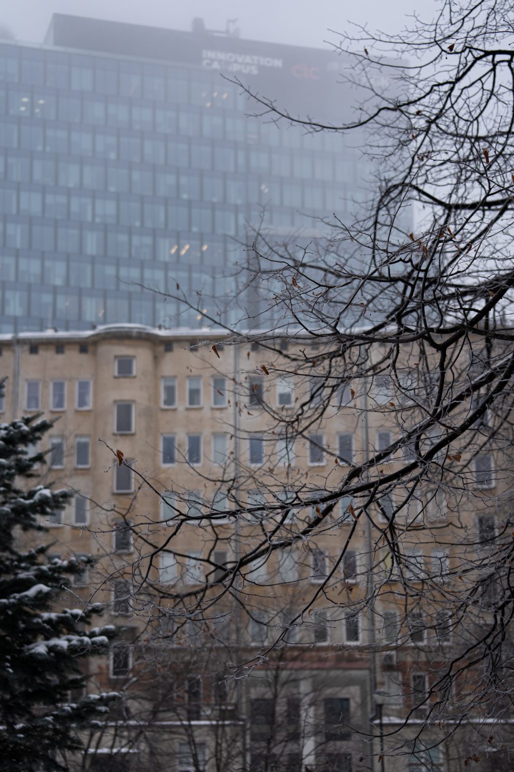 Sony a9iii 70 300mm F4.5 5.6