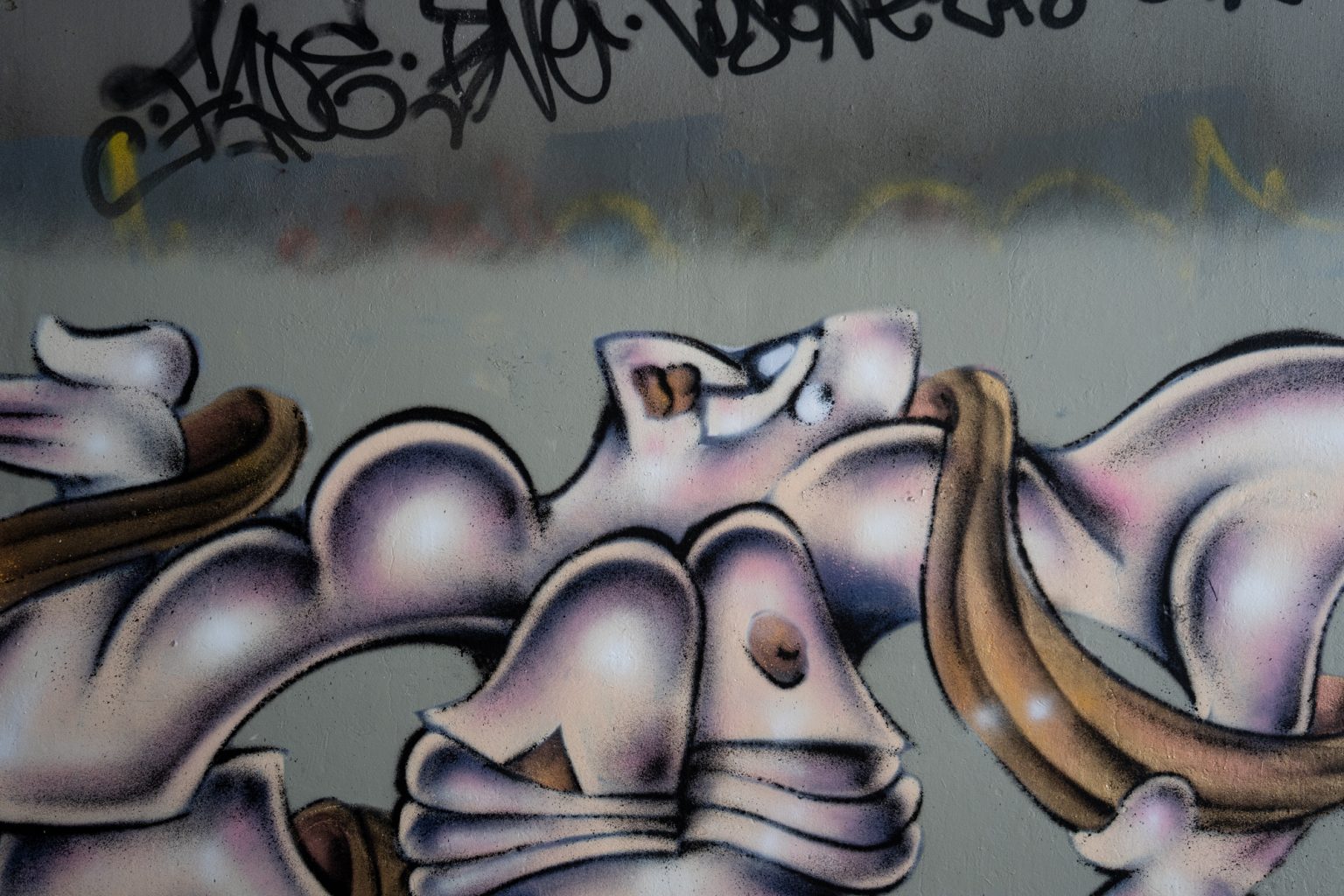 Sony a9iii 70 300mm F4.5 5.6