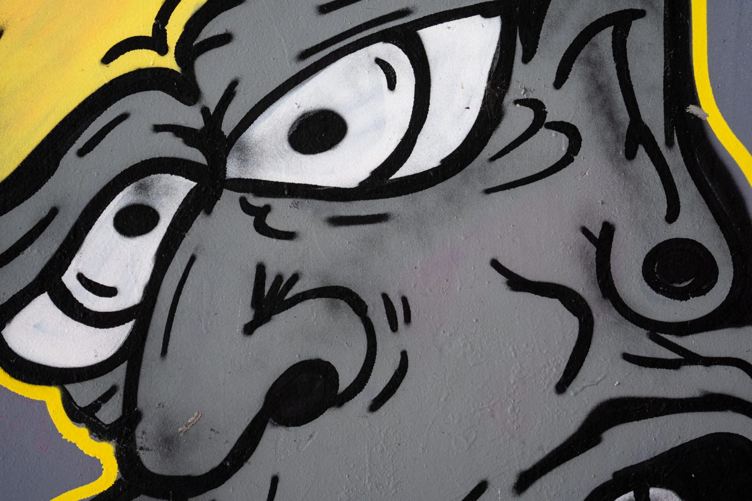 Sony a9iii 70 300mm F4.5 5.6