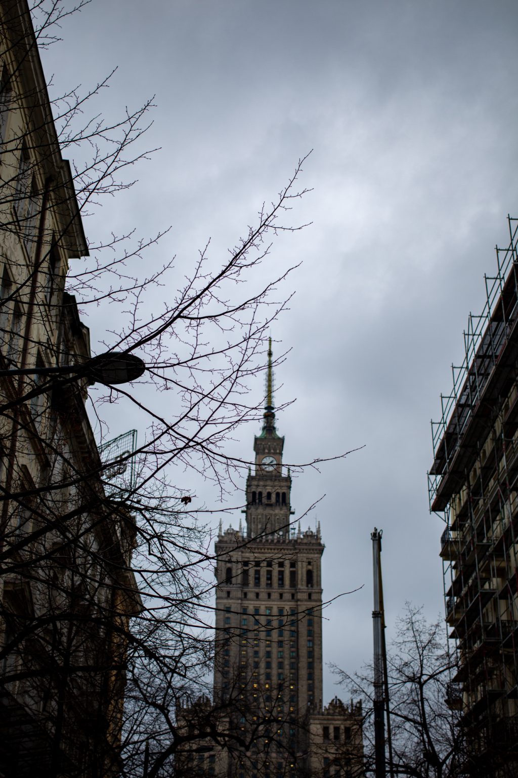 Galeria zdjęć 2000px wykonana za pomocą aparatu Canon EOS 1D Mark IV i obiektywu Canon 40mm F2.8 STM