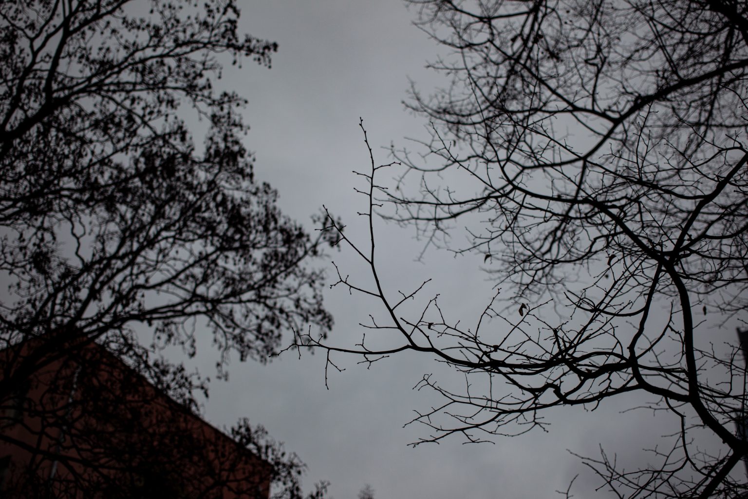 Galeria zdjęć 2000px wykonana za pomocą aparatu Canon EOS 1D Mark IV i obiektywu Canon 40mm F2.8 STM