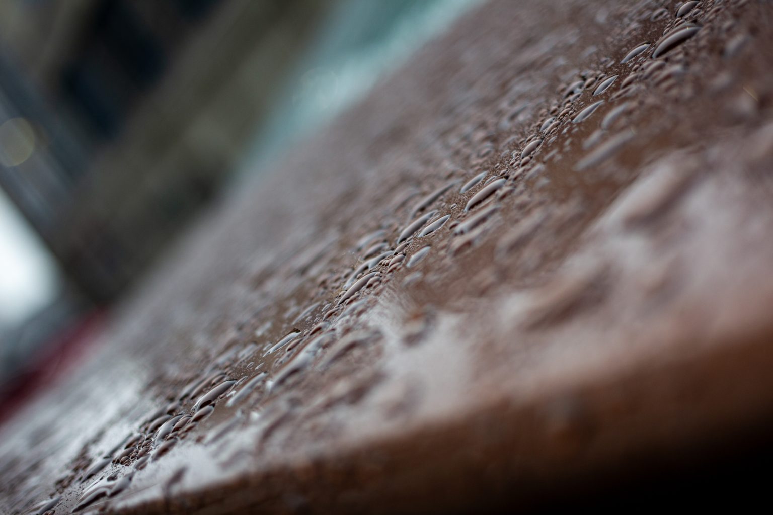 Galeria zdjęć 2000px wykonana za pomocą aparatu Canon EOS 1D Mark IV i obiektywu Canon 40mm F2.8 STM