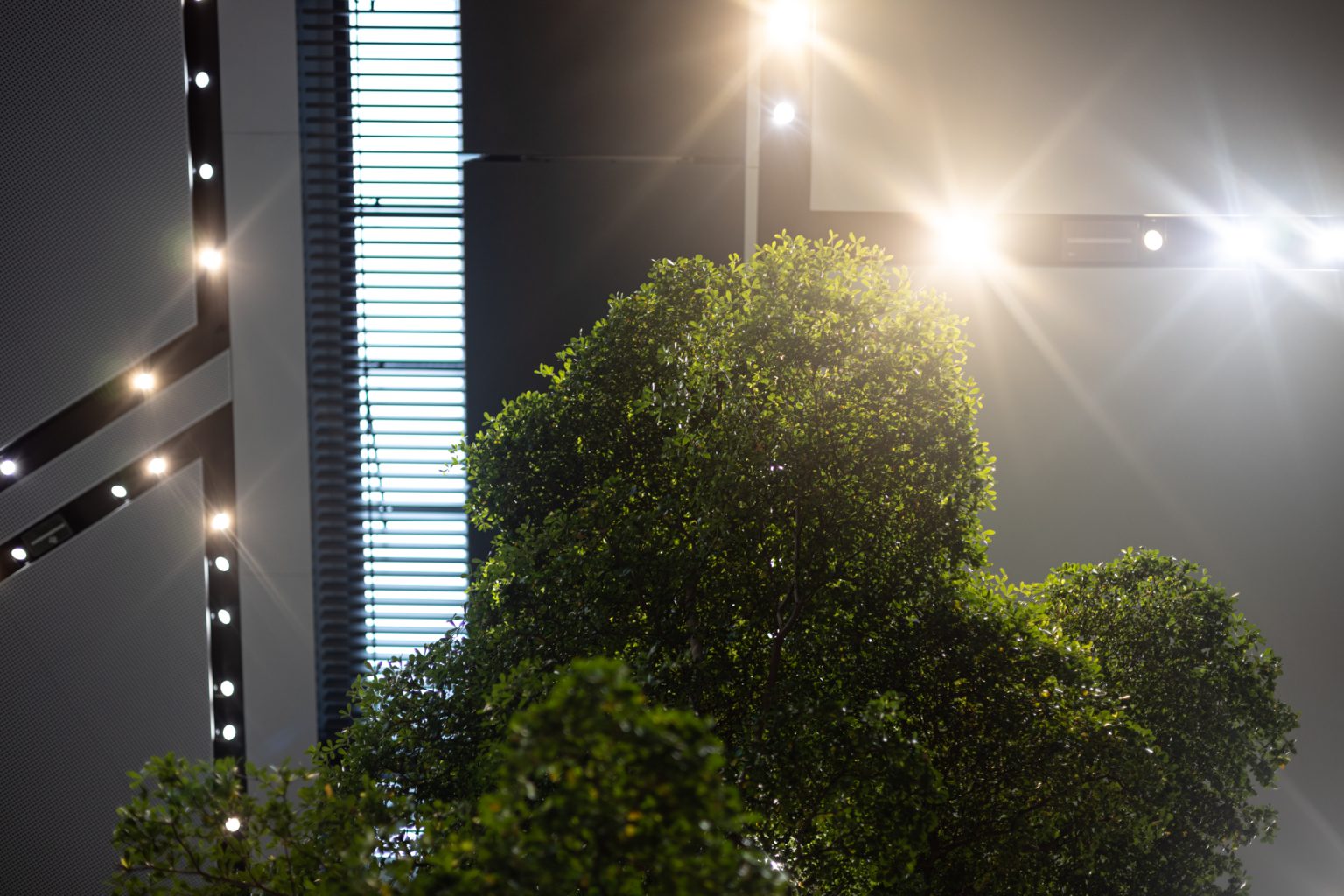 Galeria zdjęć 2000px wykonana za pomocą aparatu Canon R i obiektywu Canon RF 50mm f/1.8 STM Galeria zdjęć 2000px wykonana za pomocą aparatu Canon R i obiektywu Canon RF 50mm f/1.8 STM