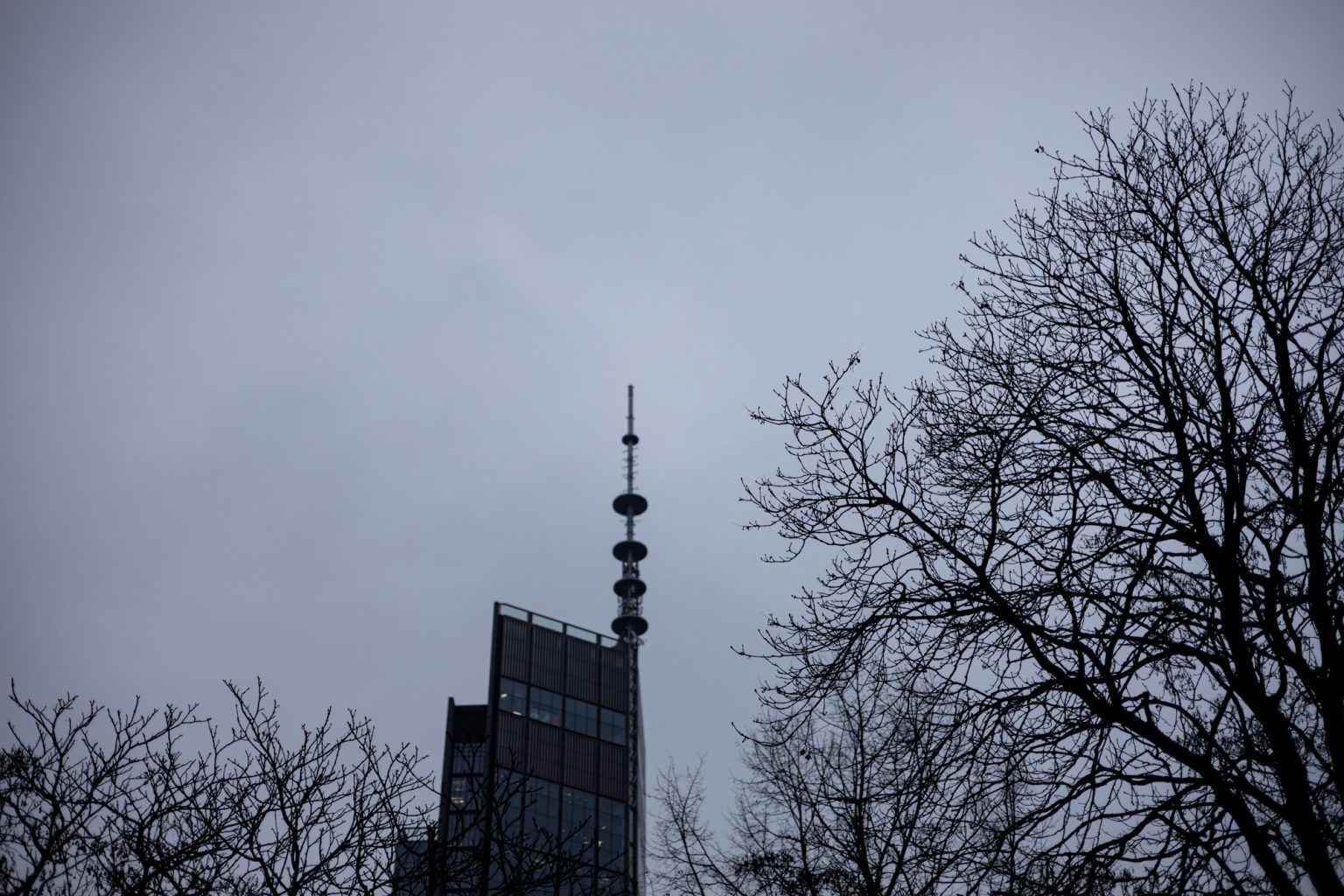 Galeria zdjęć 2000px wykonana za pomocą aparatu Canon R i obiektywu Canon RF 50mm f/1.8 STM Galeria zdjęć 2000px wykonana za pomocą aparatu Canon R i obiektywu Canon RF 50mm f/1.8 STM