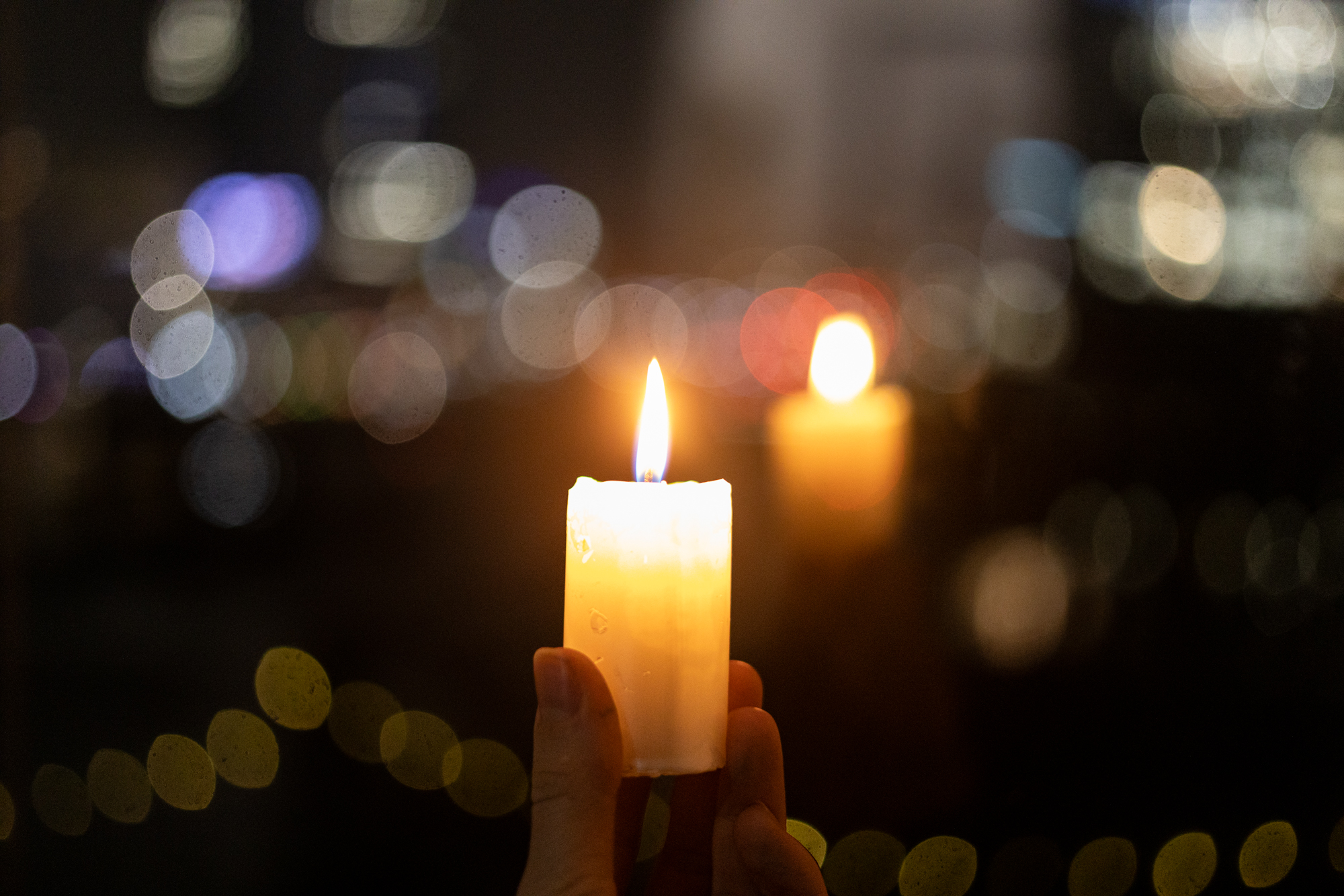 Canon R RF 50mm F1.8 STM