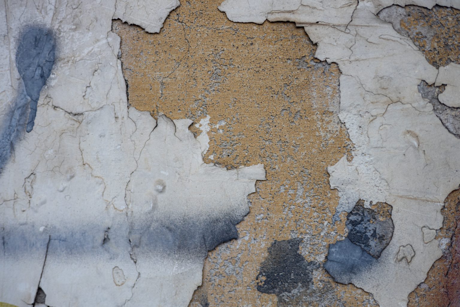 Galeria zdjęć 2000px wykonana za pomocą aparatu Canon R i obiektywu Canon RF 50mm f/1.8 STM Galeria zdjęć 2000px wykonana za pomocą aparatu Canon R i obiektywu Canon RF 50mm f/1.8 STM