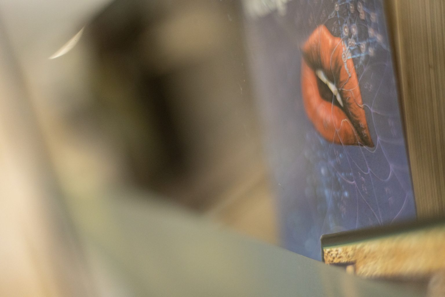 Galeria zdjęć 2000px wykonana za pomocą aparatu Canon R i obiektywu Canon RF 50mm f/1.8 STM Galeria zdjęć 2000px wykonana za pomocą aparatu Canon R i obiektywu Canon RF 50mm f/1.8 STM