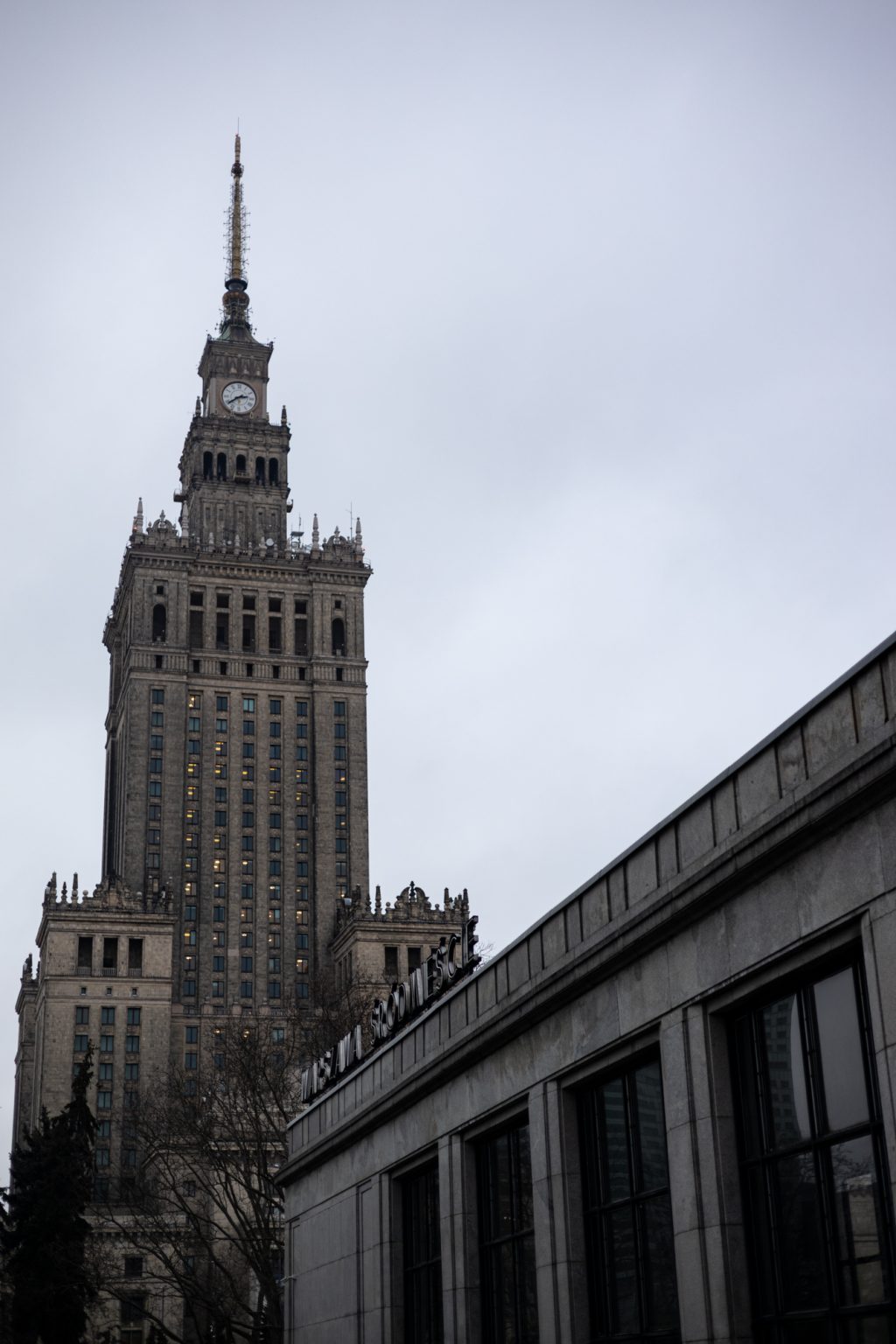 Galeria zdjęć 2000px wykonana za pomocą aparatu Canon R i obiektywu Canon RF 50mm f/1.8 STM Galeria zdjęć 2000px wykonana za pomocą aparatu Canon R i obiektywu Canon RF 50mm f/1.8 STM