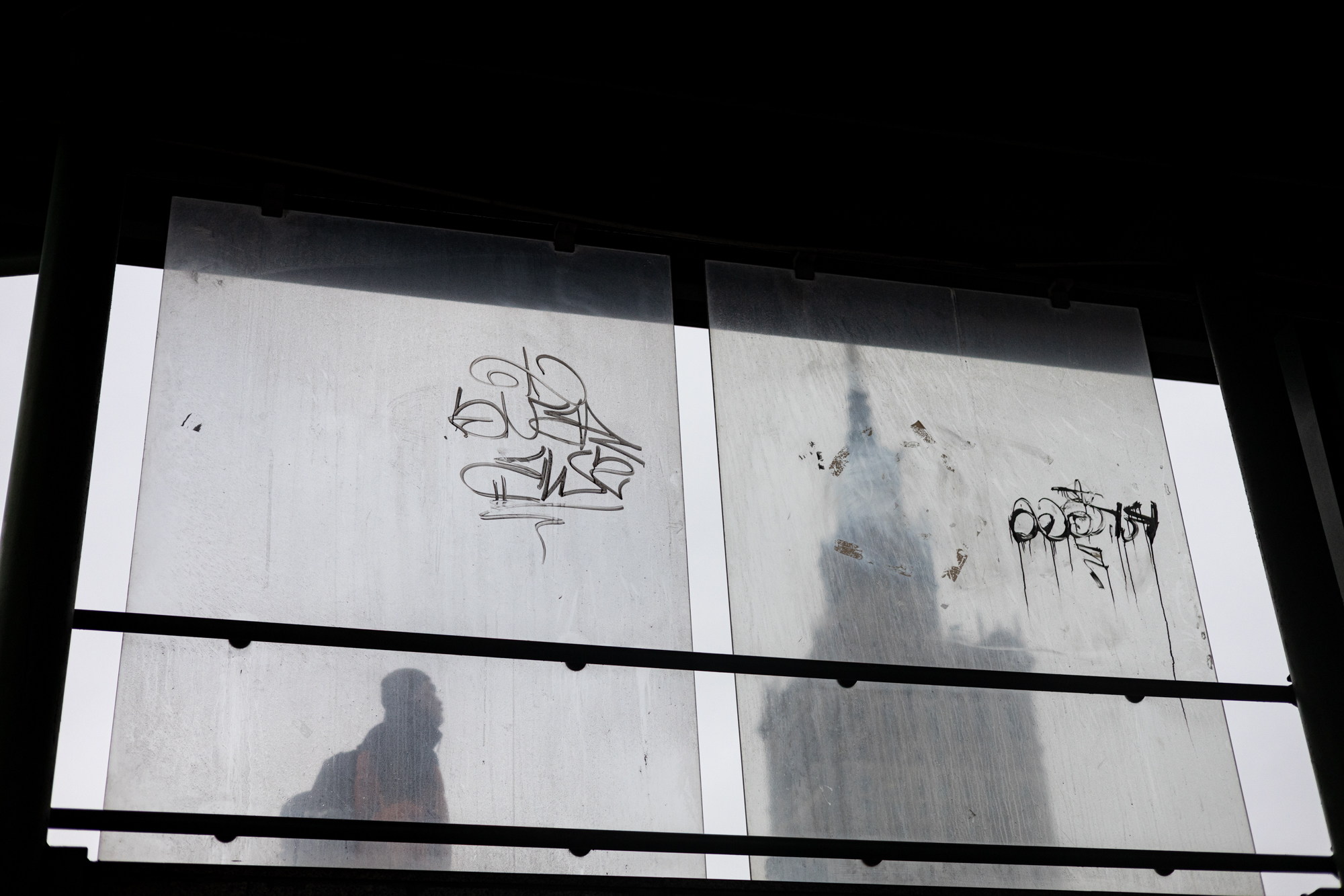 Canon R RF 50mm F1.8 STM