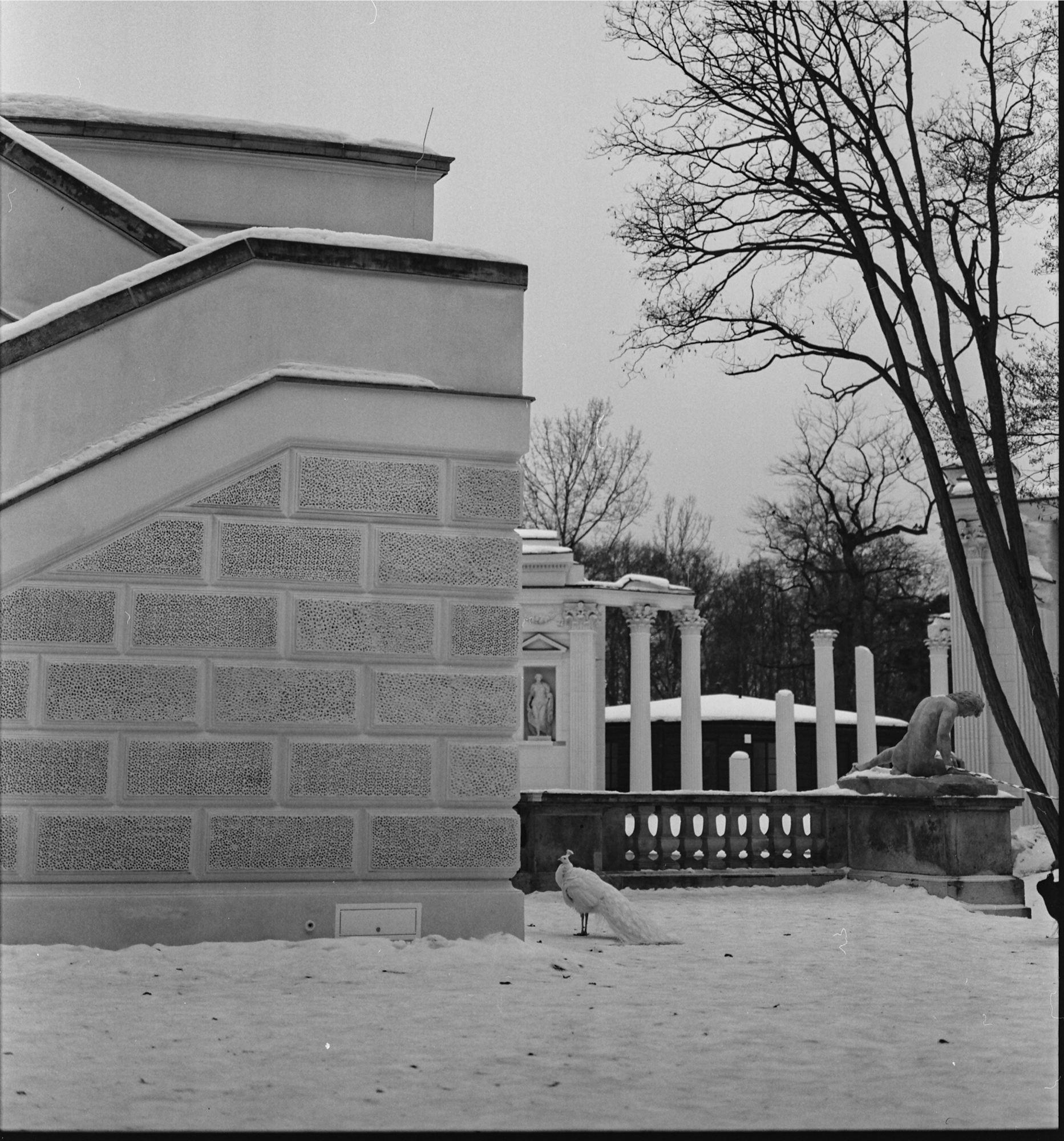 Fuji GW670 III - Texas Leica