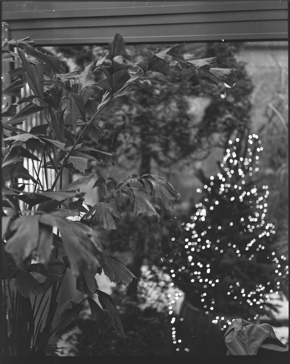 Galeria zdjęć przykładowych 1:1 wykonana za pomocą aparatu Fuji GW670 III na filmie Kodak Tri-X 400/120 i zeskanowana w Relax Foto Lab Galeria zdjęć przykładowych 1:1 wykonana za pomocą aparatu Fuji GW670 III na filmie Kodak Tri-X 400/120 i zeskanowana w Relax Foto Lab