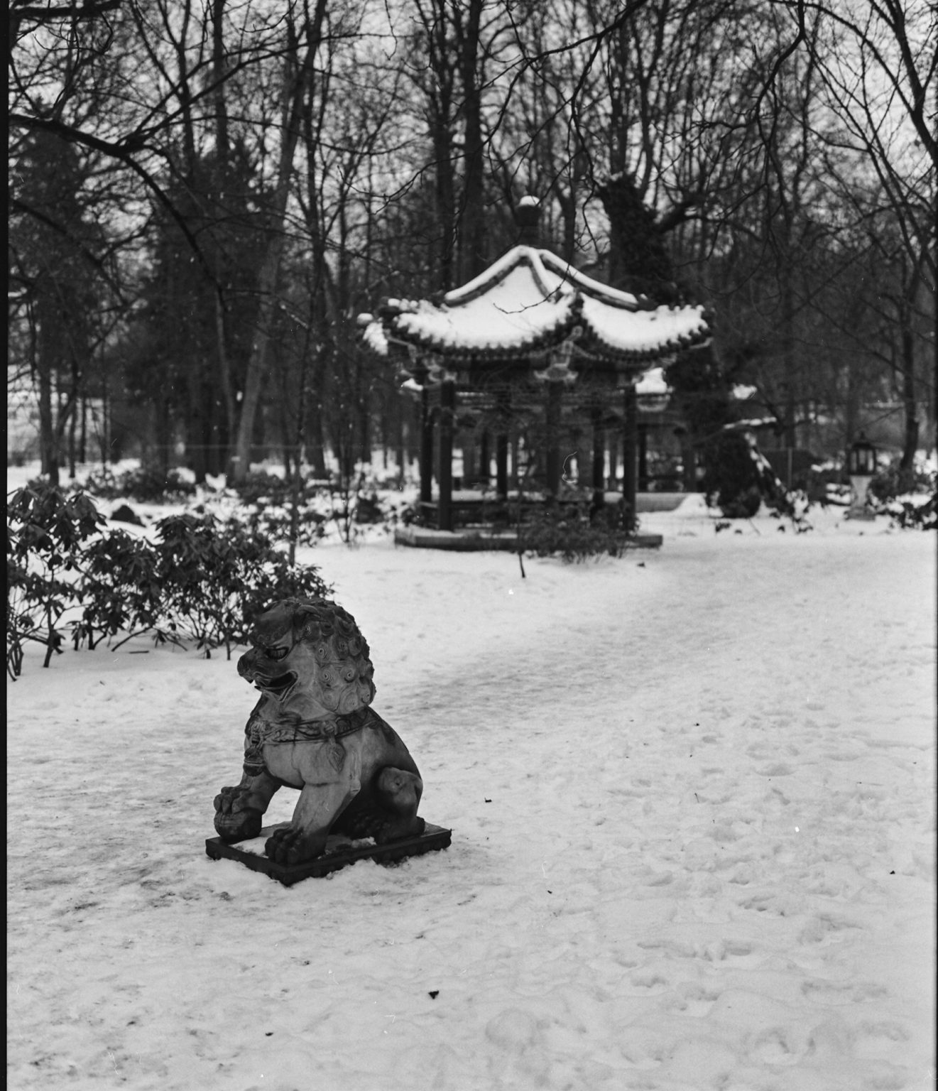 Galeria zdjęć przykładowych 1:1 wykonana za pomocą aparatu Fuji GW670 III na filmie Kodak Tri-X 400/120 i zeskanowana w Relax Foto Lab Galeria zdjęć przykładowych 1:1 wykonana za pomocą aparatu Fuji GW670 III na filmie Kodak Tri-X 400/120 i zeskanowana w Relax Foto Lab