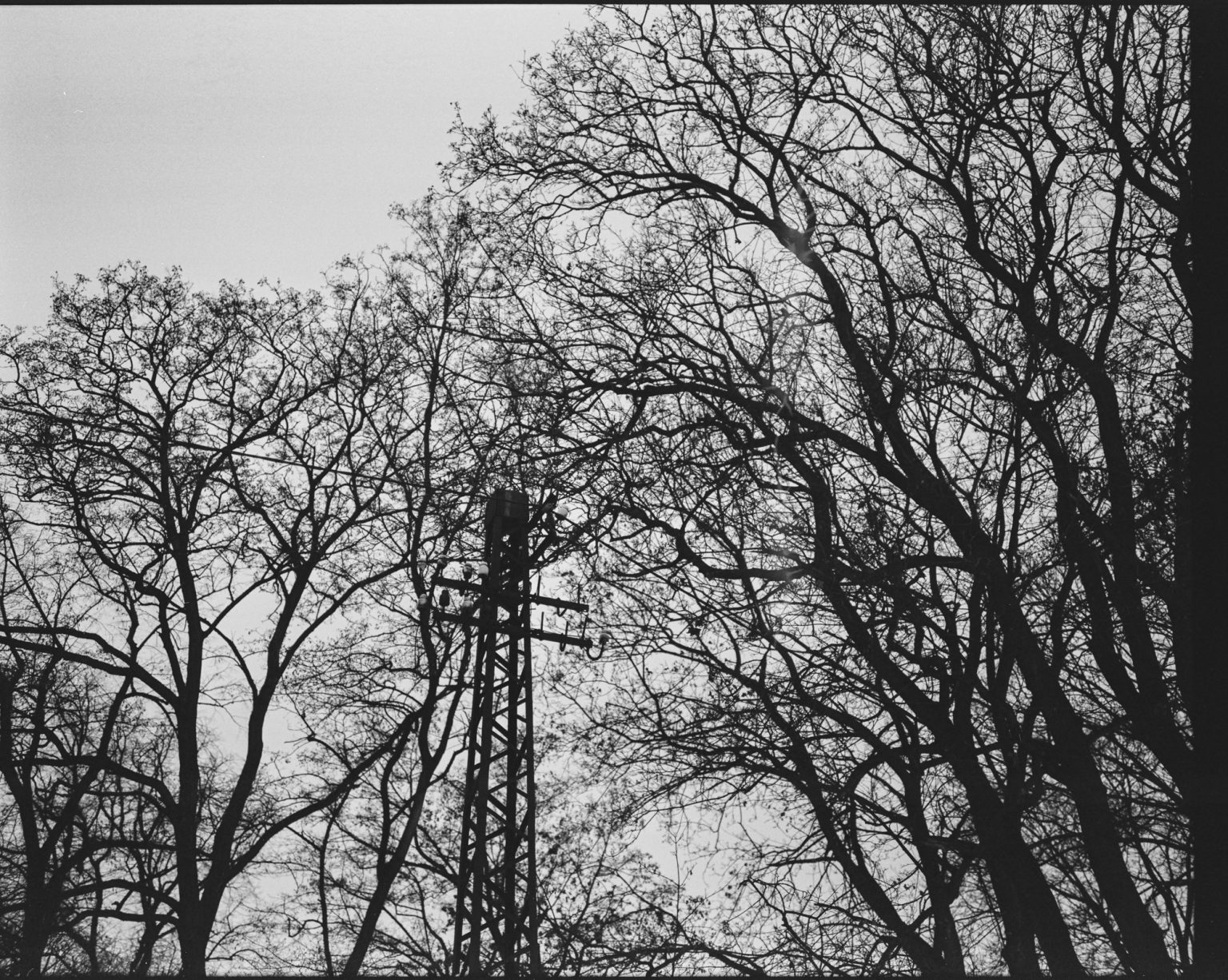 Galeria zdjęć przykładowych 1:1 wykonana za pomocą aparatu Fuji GW670 III na filmie Kodak Tri-X 400/120 i zeskanowana w Relax Foto Lab Galeria zdjęć przykładowych 1:1 wykonana za pomocą aparatu Fuji GW670 III na filmie Kodak Tri-X 400/120 i zeskanowana w Relax Foto Lab