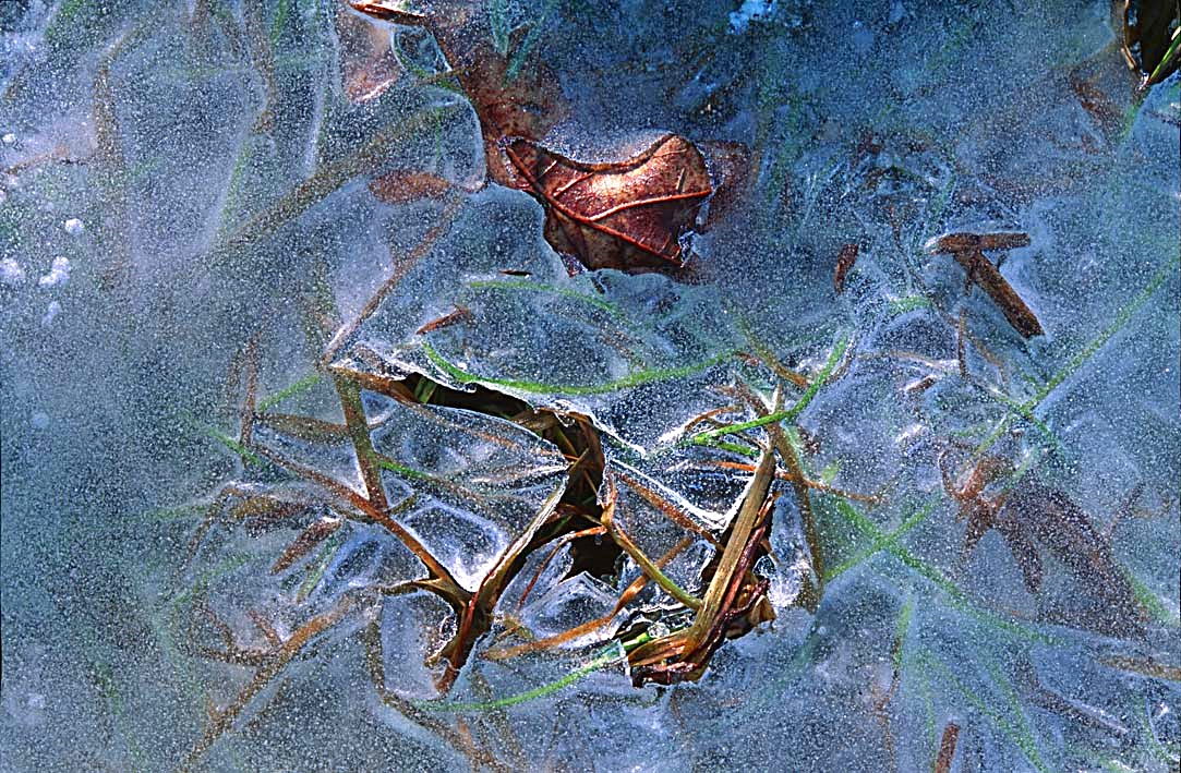 canon-fd-135mm-f3-5-sc-nikon-zf-test