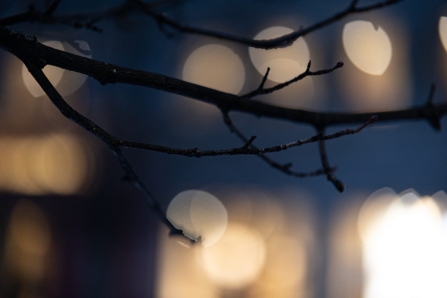 Galeria zdjęć przykładowych 2000px z obiektywu Samyang 85mm F1.4 AF Canon RF i aparatu Canon R6