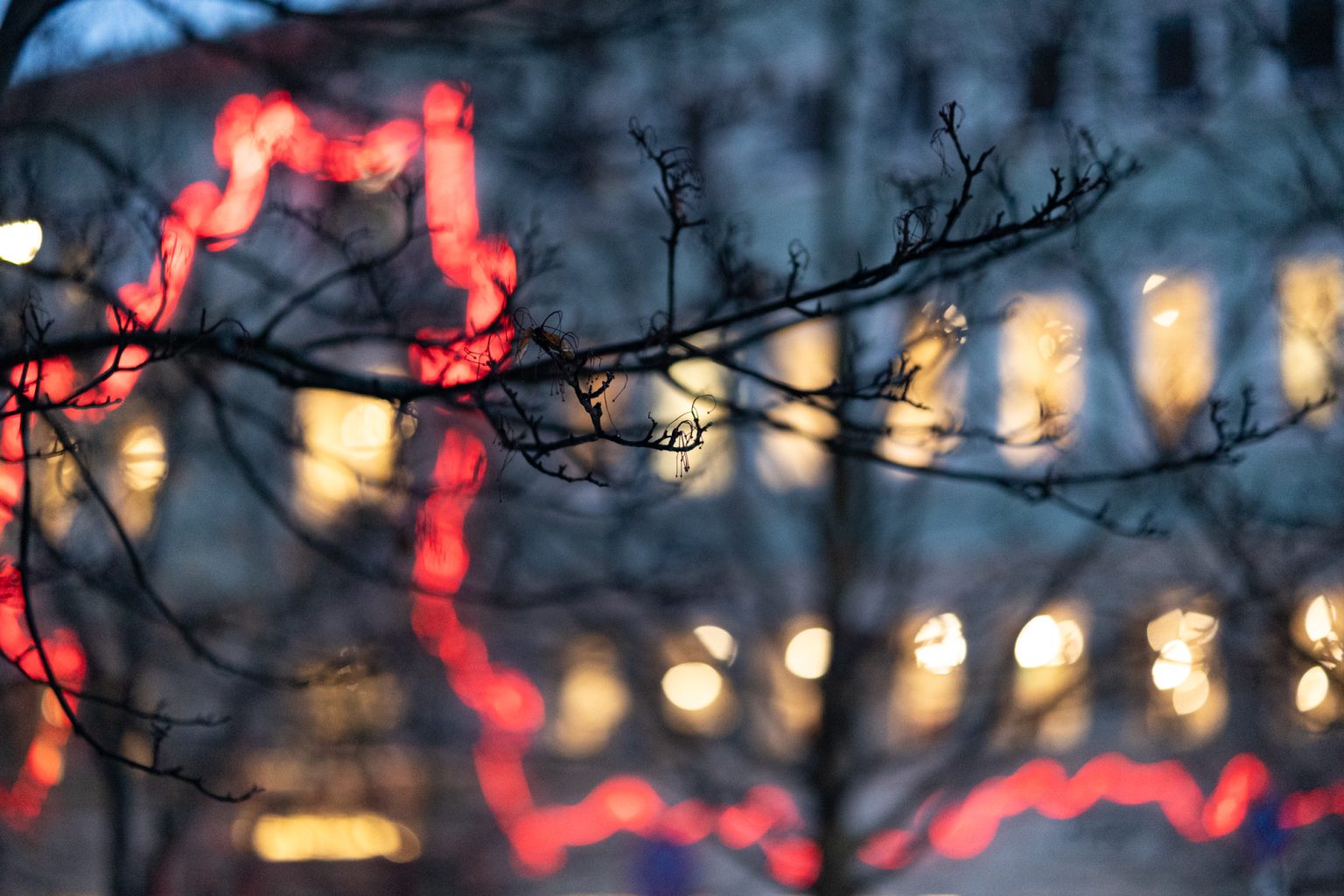 Galeria zdjęć przykładowych 2000px z obiektywu Samyang 85mm F1.4 AF Canon RF i aparatu Canon R6