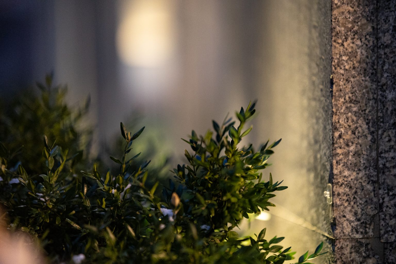 Galeria zdjęć przykładowych 2000px z obiektywu Samyang 85mm F1.4 AF Canon RF i aparatu Canon R6