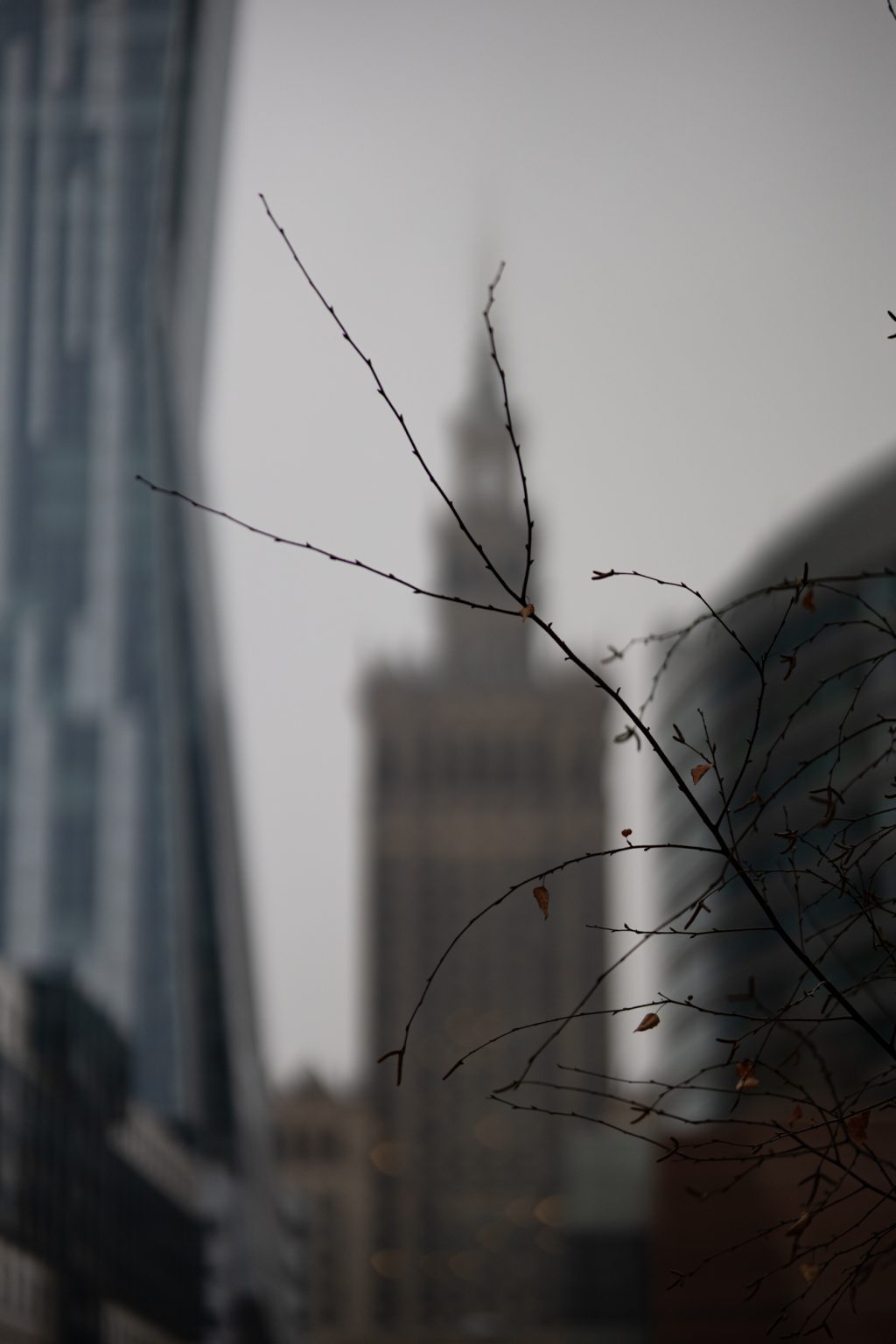 Galeria zdjęć przykładowych 2000px z obiektywu Samyang 85mm F1.4 AF Canon RF i aparatu Canon R6