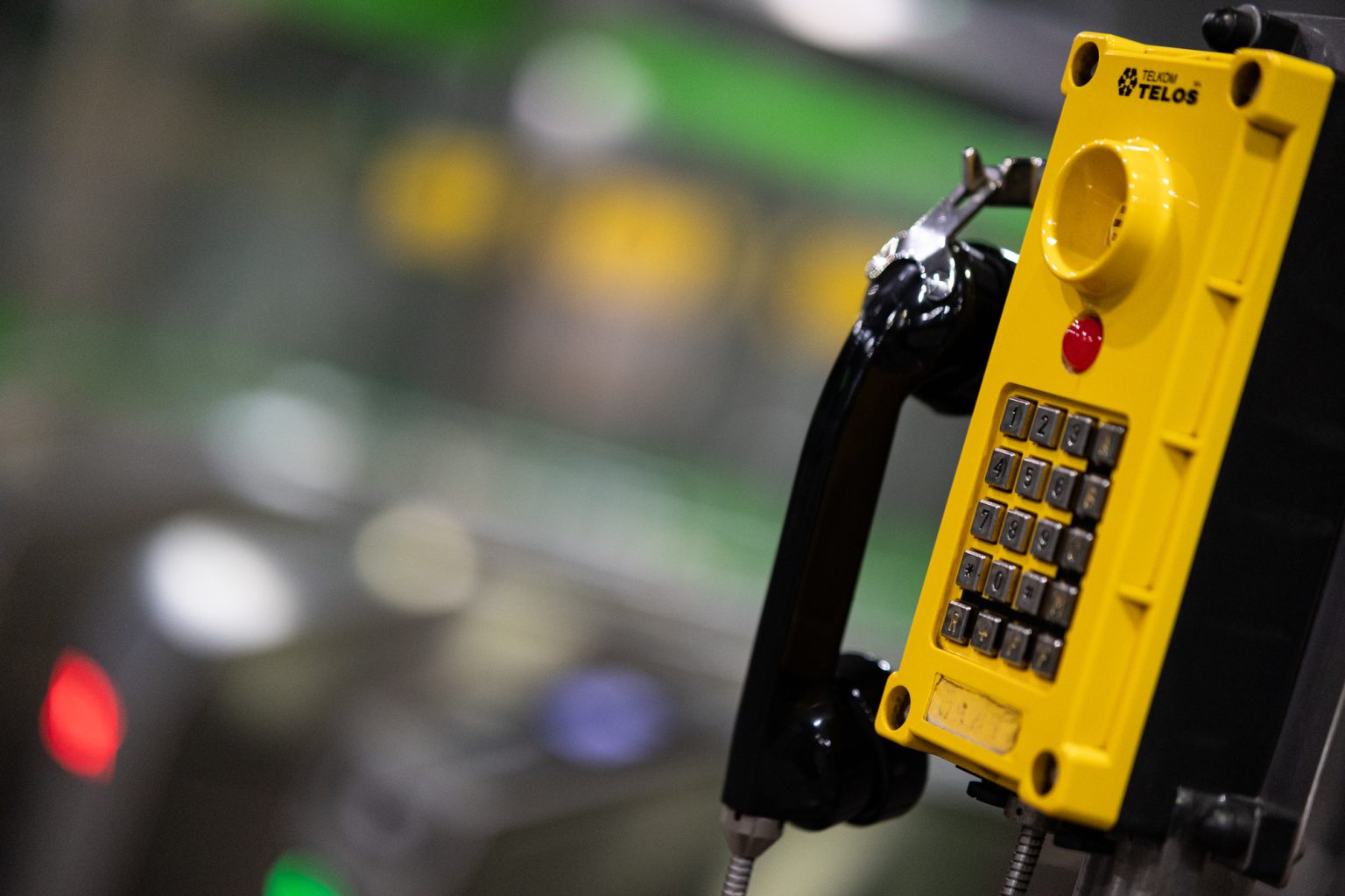 Galeria zdjęć przykładowych 2000px z obiektywu Samyang 85mm F1.4 AF Canon RF i aparatu Canon R6