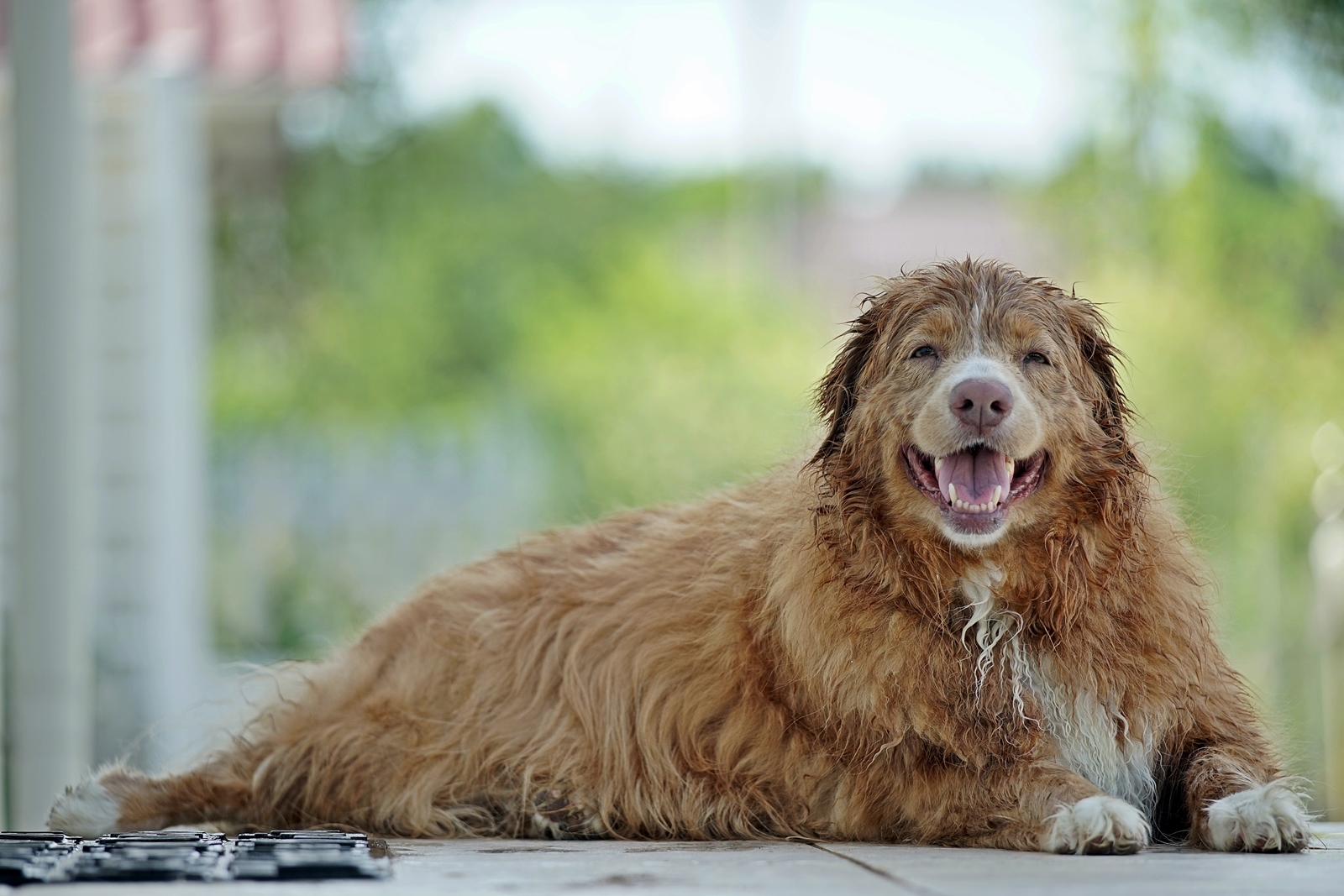 czy-warto-zmieniac-aparat-2026-lepszy-sprzet-czy-lepszy-powod 5