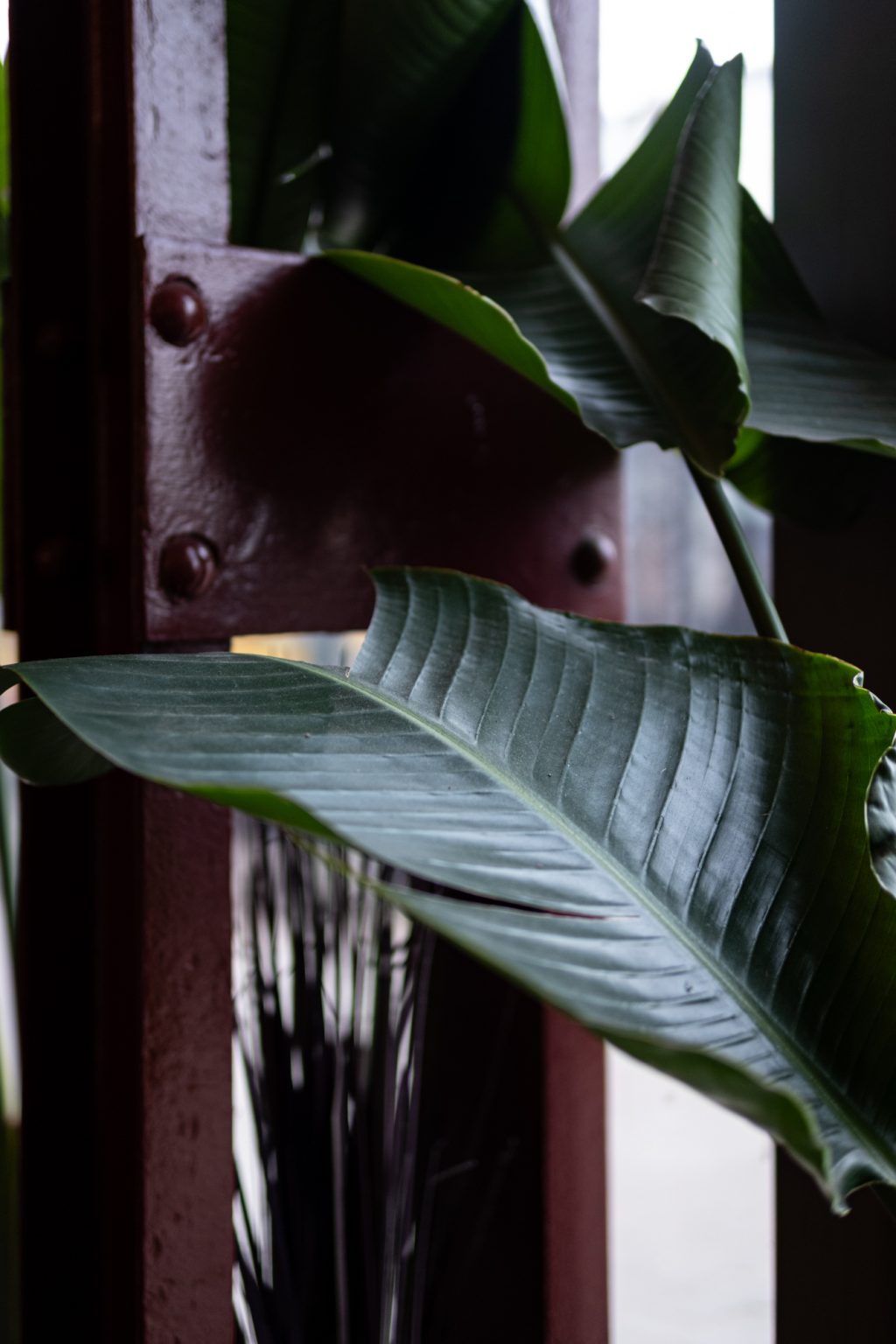 Galeria zdjęć 2000px wykonana za pomocą obiektywu Sigma C 30mm F1.4 DC DN FujiFilm FX i aparatu FujiFilm X-T4 Galeria zdjęć 2000px wykonana za pomocą obiektywu Sigma C 30mm F1.4 DC DN FujiFilm FX i aparatu FujiFilm X-T4