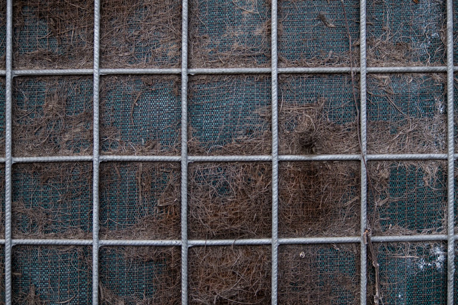 Galeria zdjęć 2000px wykonana za pomocą obiektywu Sigma C 30mm F1.4 DC DN FujiFilm FX i aparatu FujiFilm X-T4 Galeria zdjęć 2000px wykonana za pomocą obiektywu Sigma C 30mm F1.4 DC DN FujiFilm FX i aparatu FujiFilm X-T4