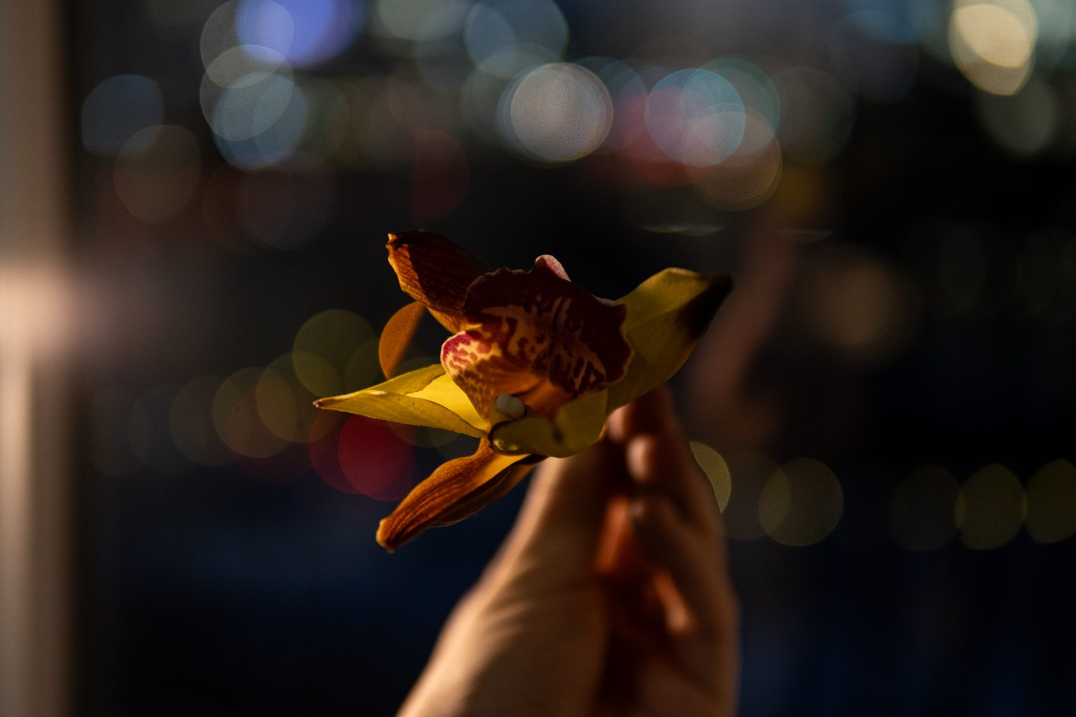 Galeria zdjęć 2000px wykonana za pomocą obiektywu Sigma C 30mm F1.4 DC DN FujiFilm FX i aparatu FujiFilm X-T4 Galeria zdjęć 2000px wykonana za pomocą obiektywu Sigma C 30mm F1.4 DC DN FujiFilm FX i aparatu FujiFilm X-T4