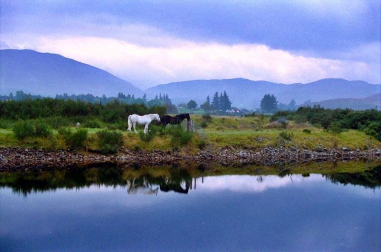 czy-warto-zmieniac-aparat-2026-lepszy-sprzet-czy-lepszy-powod