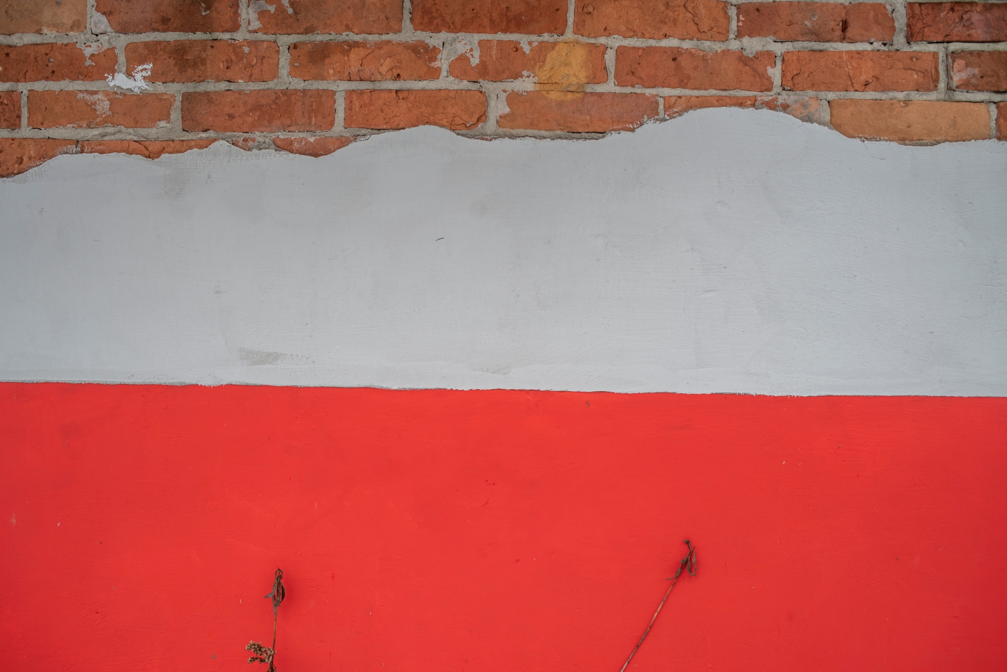 Final AF Nikkor 35mm F2D Nikon D750 dee7361