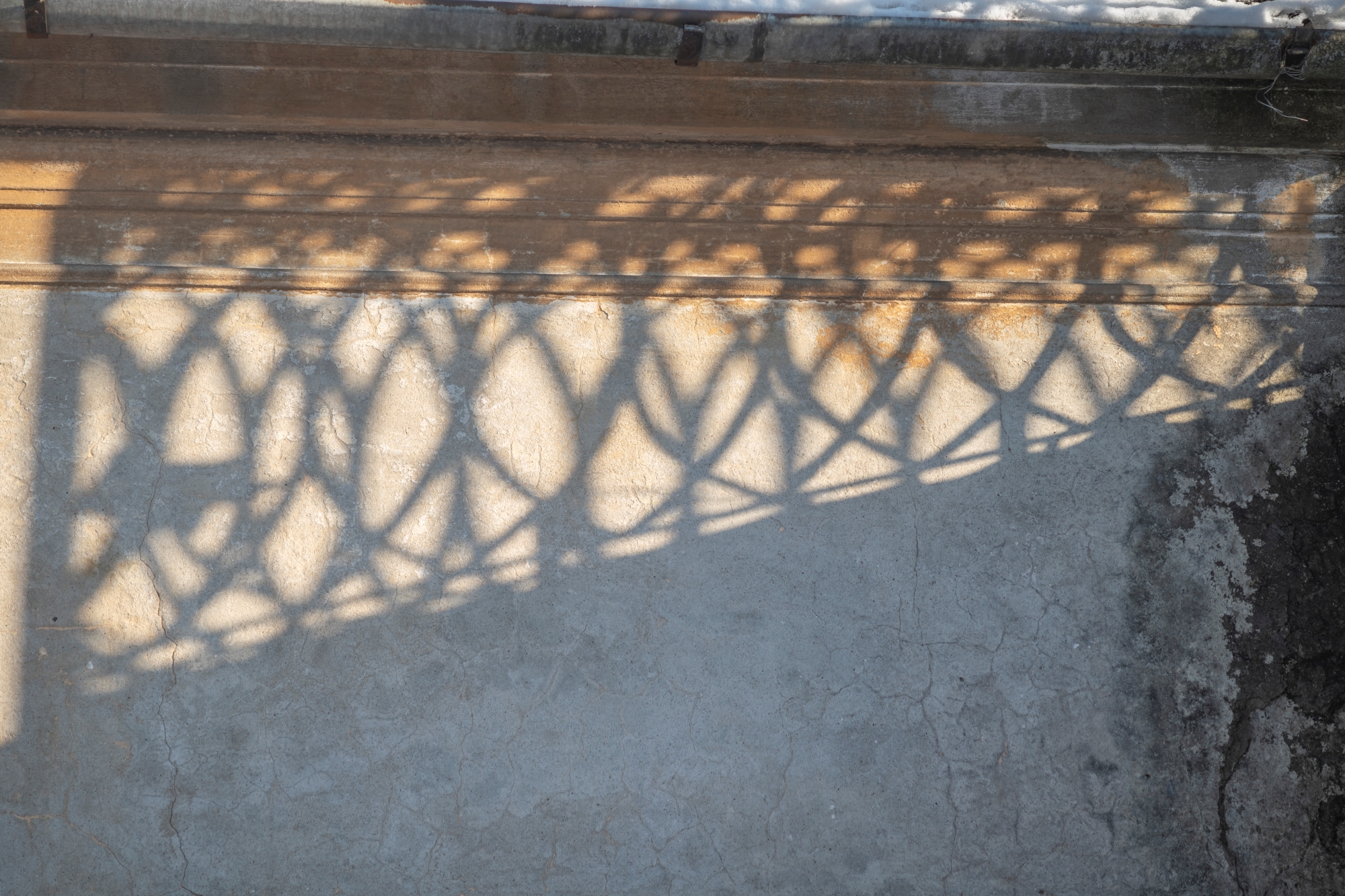 Final Canon FD 135mm F3.5 S.C. Nikon Zf dsc2525