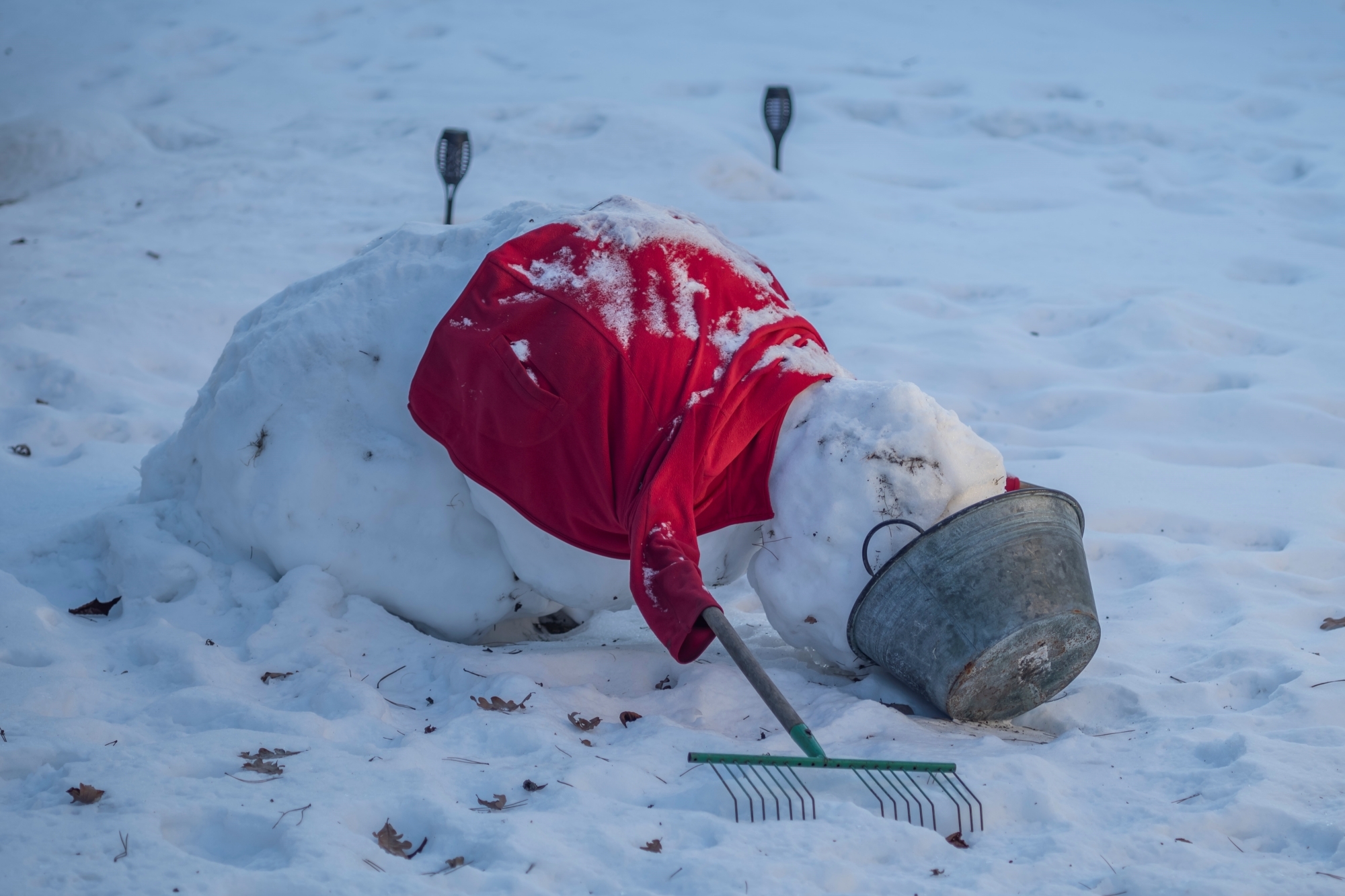 canon-fd-135mm-f3-5-sc-nikon-zf-test