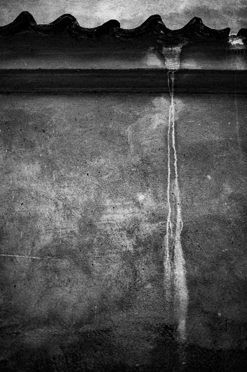 CO MNIE CIESZY W FOTOGRAFII 2026 OBRAZEK