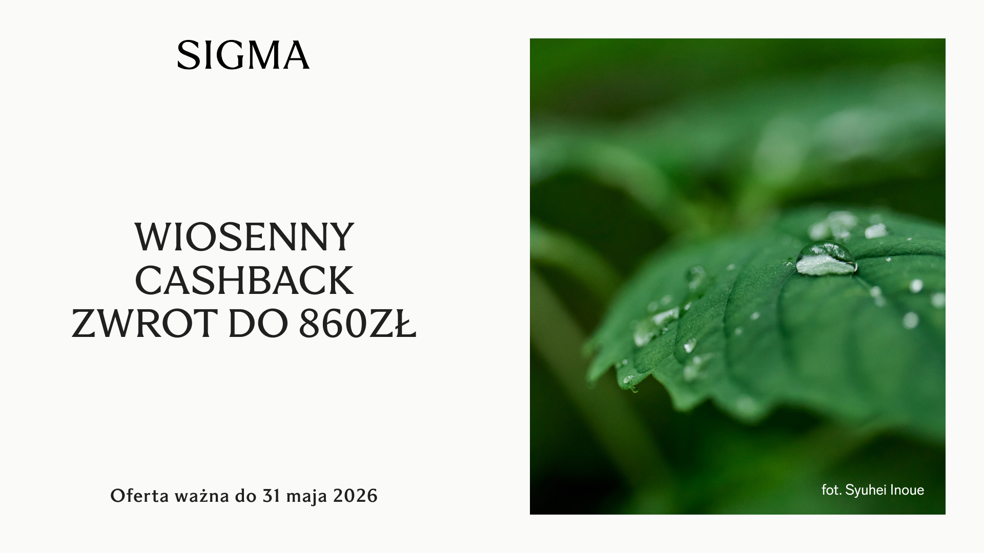 cashback-sigma-2026
