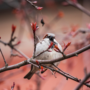 Zdjęcia wykonane obiektywami marki Tamron przez członków ekipy InterFoto.eu Zdjęcia wykonane obiektywami marki Tamron przez członków ekipy InterFoto.eu