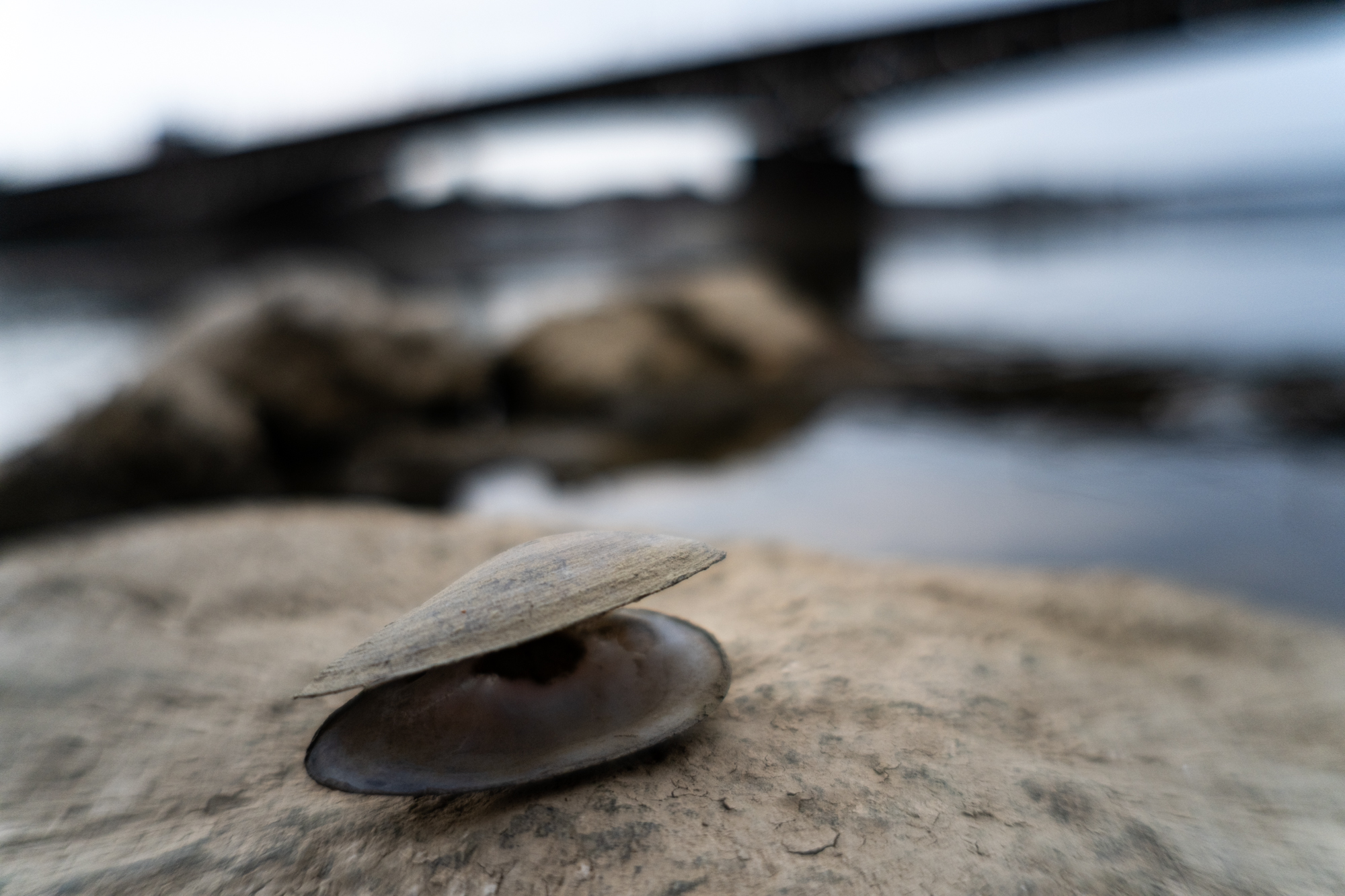 TTArtisan AF 17mm F1.8 Air