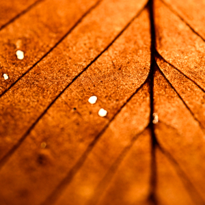 Zdjęcia wykonane obiektywami marki Tamron przez członków ekipy InterFoto.eu Zdjęcia wykonane obiektywami marki Tamron przez członków ekipy InterFoto.eu