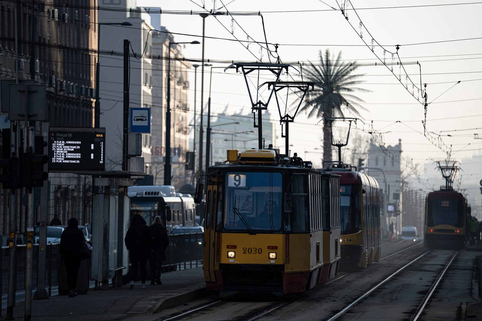 Galeria zdjęć 2000px wykonana za pomocą obiektywu Sigma C 100-400mm F5-6.3 DG DN OS HSM i aparatu Sony A7C II