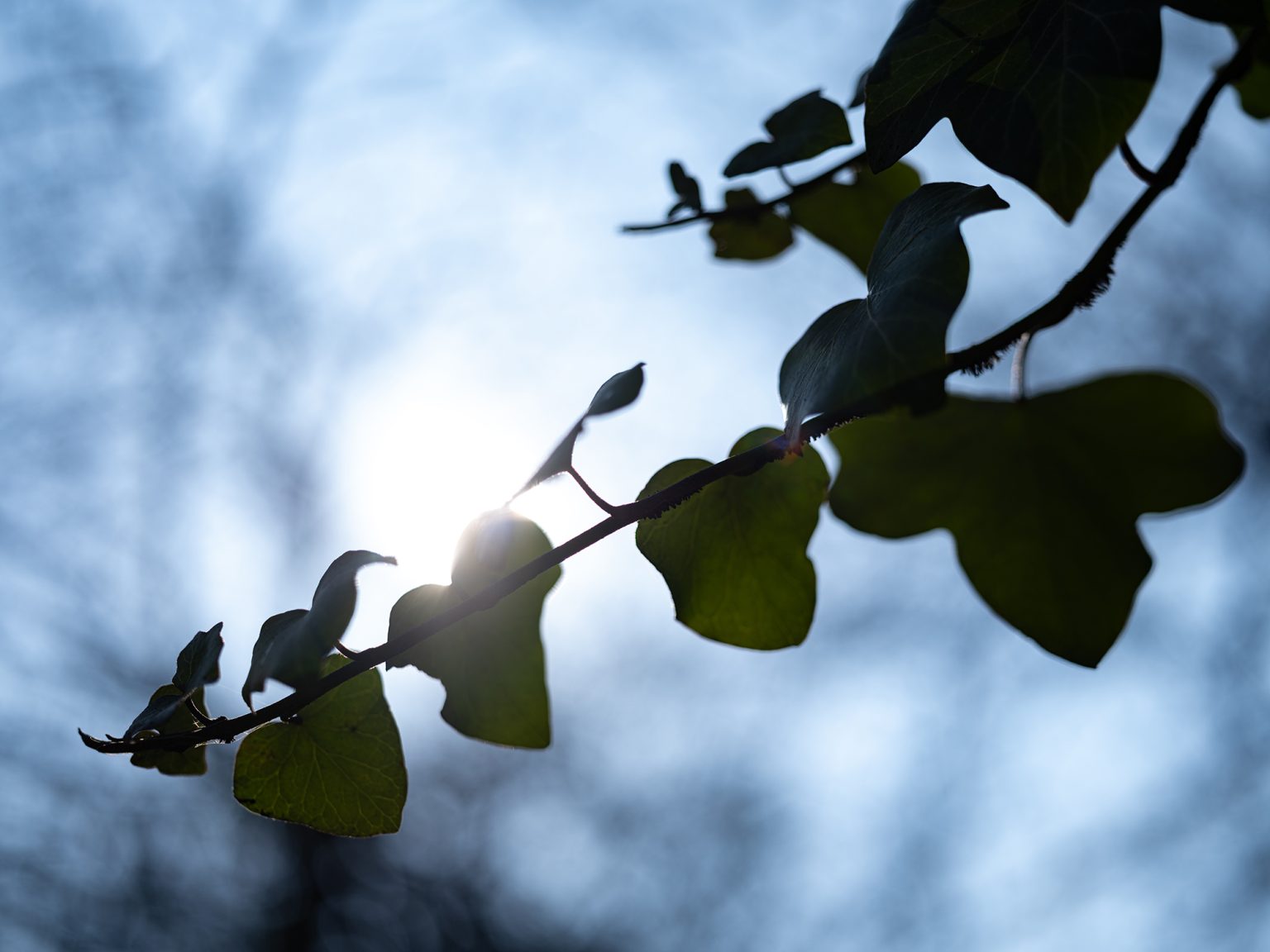 Galeria zdjęć przykładowych 2000px wykonana za pomocą aparatu FujiFilm GFX 100 i obiektywu Fujinon GF 63mm F2.8 R WR Galeria zdjęć przykładowych 2000px wykonana za pomocą aparatu FujiFilm GFX 100 i obiektywu Fujinon GF 63mm F2.8 R WR