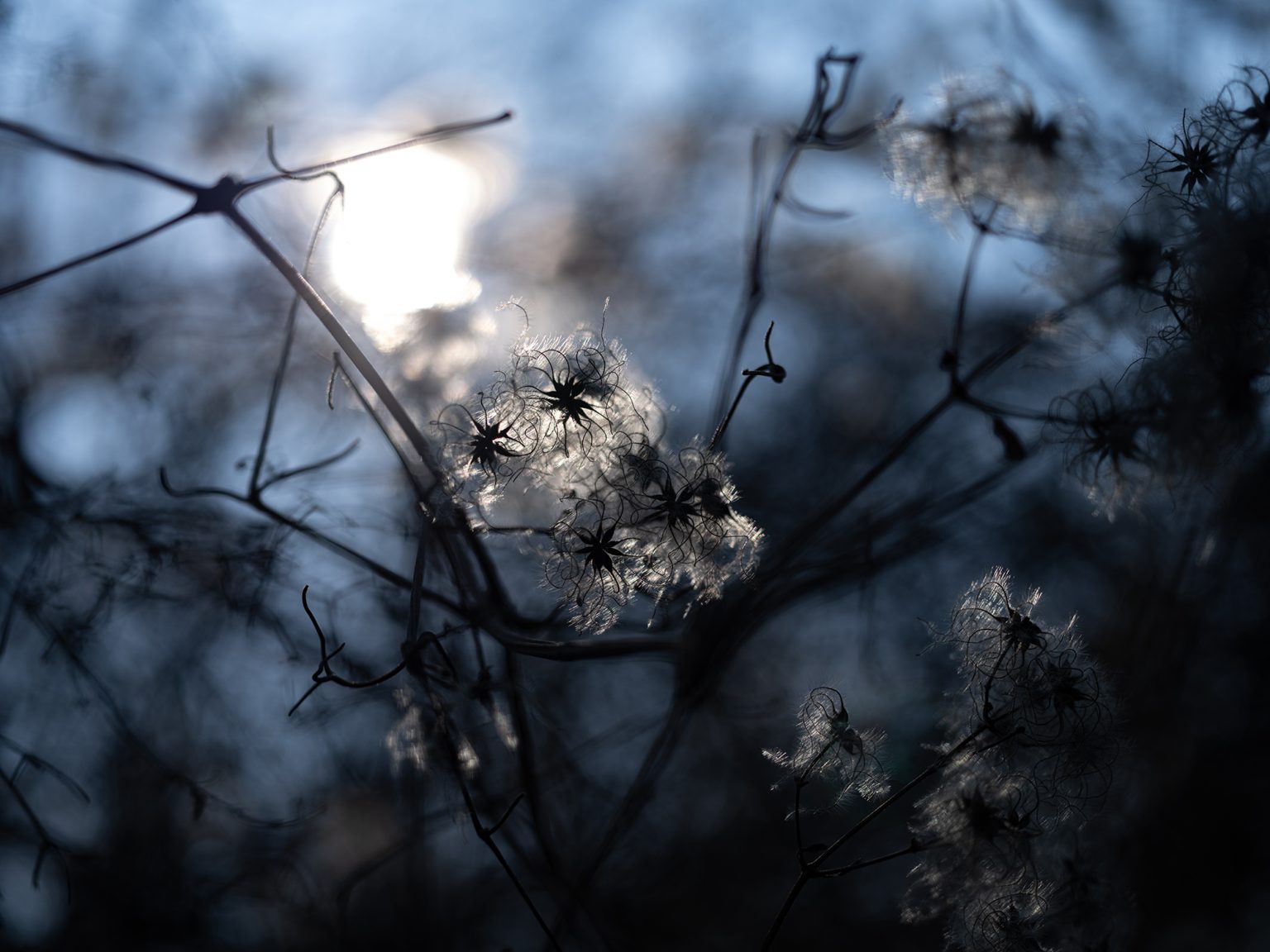Galeria zdjęć przykładowych 2000px wykonana za pomocą aparatu FujiFilm GFX 100 i obiektywu Fujinon GF 63mm F2.8 R WR Galeria zdjęć przykładowych 2000px wykonana za pomocą aparatu FujiFilm GFX 100 i obiektywu Fujinon GF 63mm F2.8 R WR
