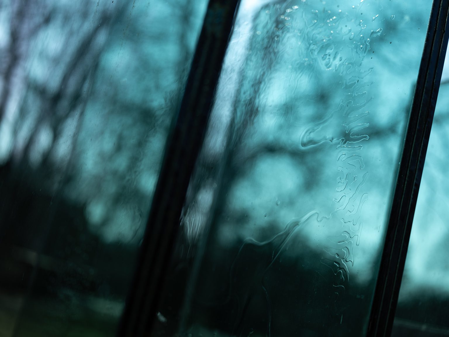 Galeria zdjęć przykładowych 2000px wykonana za pomocą aparatu FujiFilm GFX 100 i obiektywu Fujinon GF 63mm F2.8 R WR Galeria zdjęć przykładowych 2000px wykonana za pomocą aparatu FujiFilm GFX 100 i obiektywu Fujinon GF 63mm F2.8 R WR