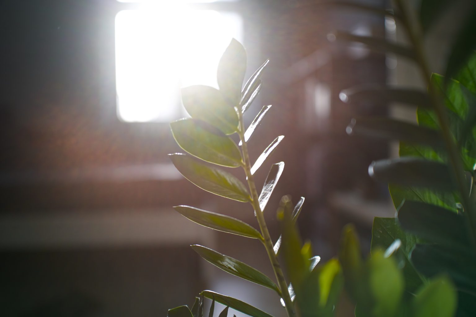 Galeria zdjęć 2000px wykonana za pomocą aparatu Sigma BF i obiektywu TTArtisan AF 40mm F2 ED ASPH.