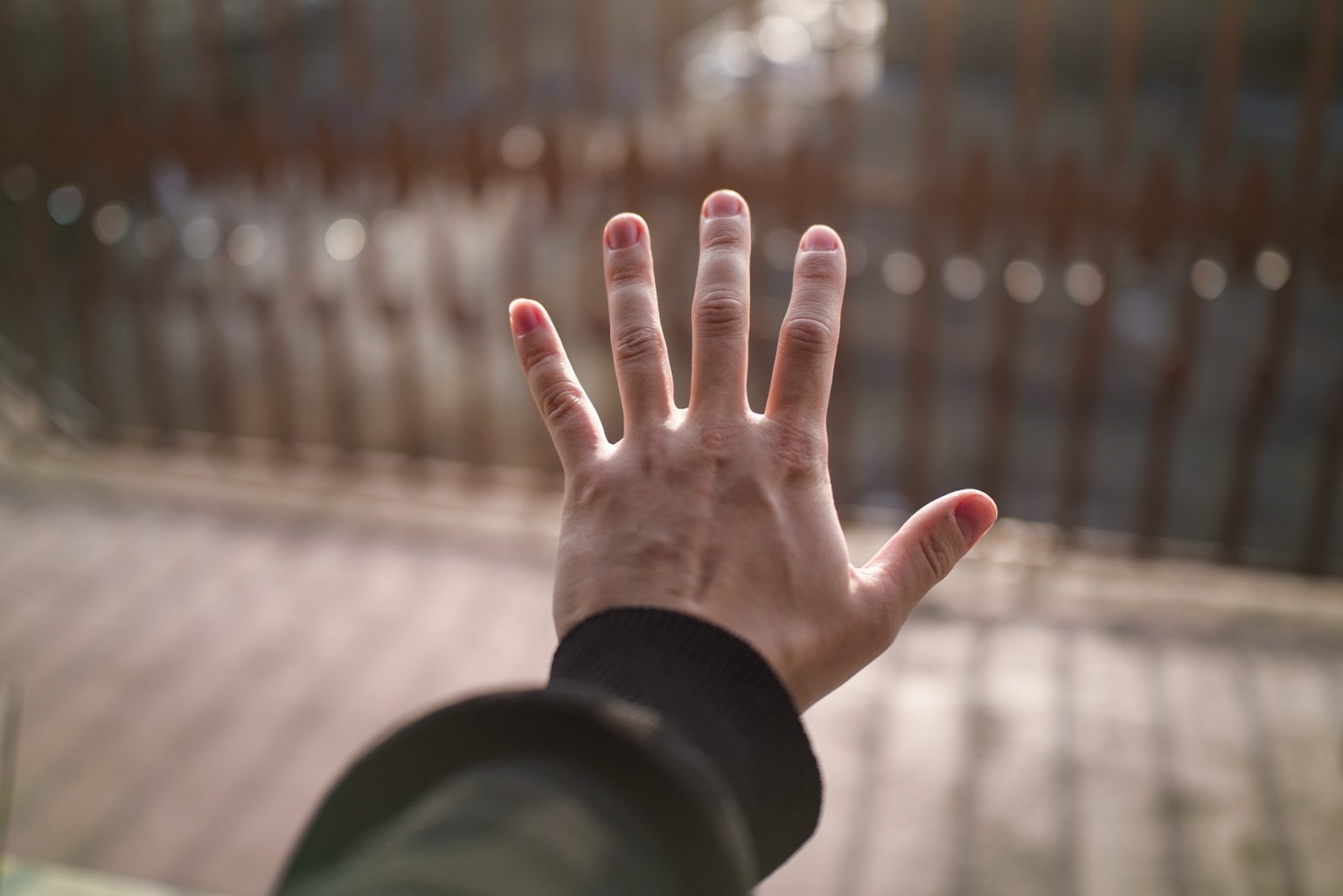 Galeria zdjęć 2000px wykonana za pomocą aparatu Sigma BF i obiektywu TTArtisan AF 40mm F2 ED ASPH.