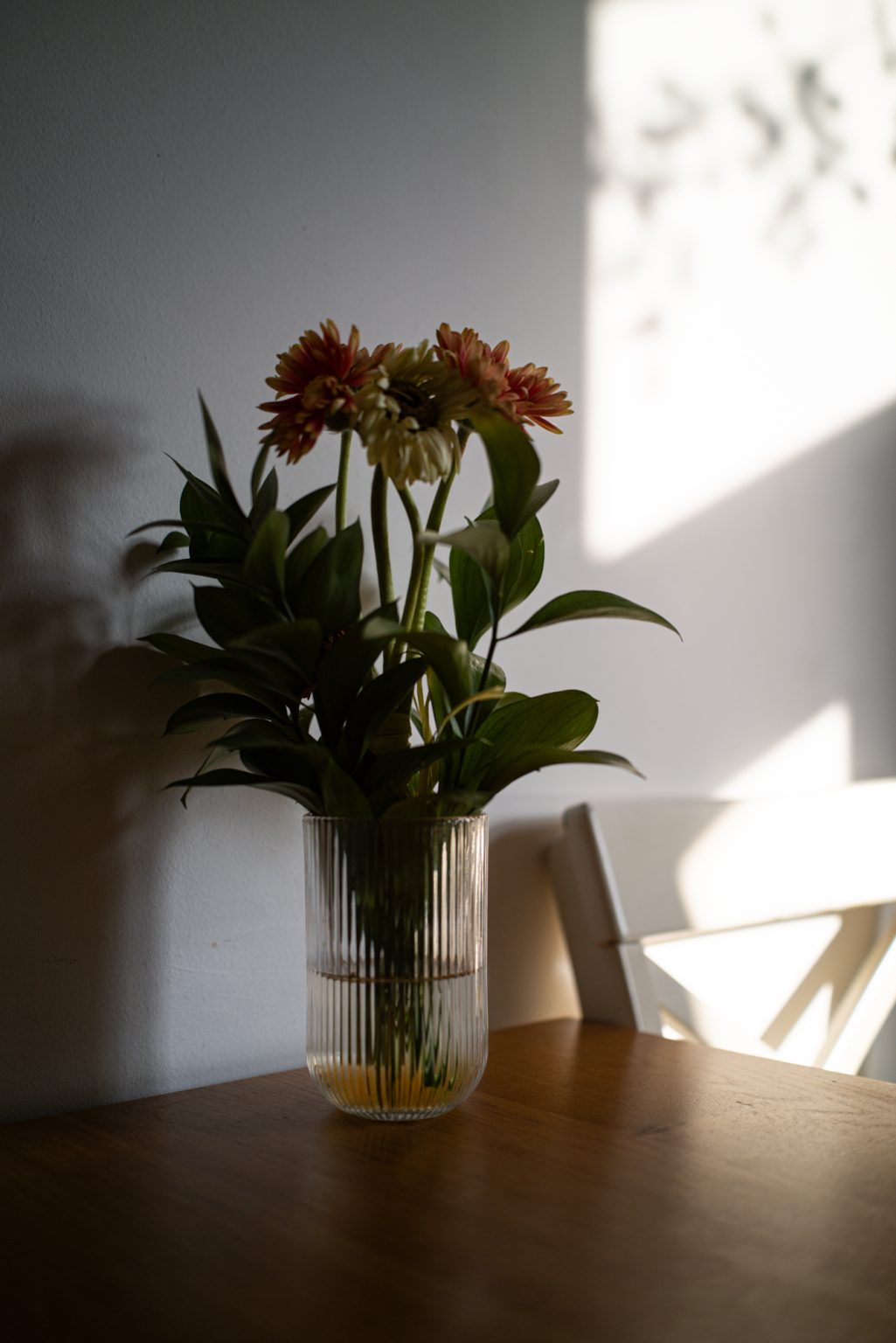 Galeria zdjęć 2000px wykonana za pomocą aparatu Sigma BF i obiektywu TTArtisan AF 40mm F2 ED ASPH.