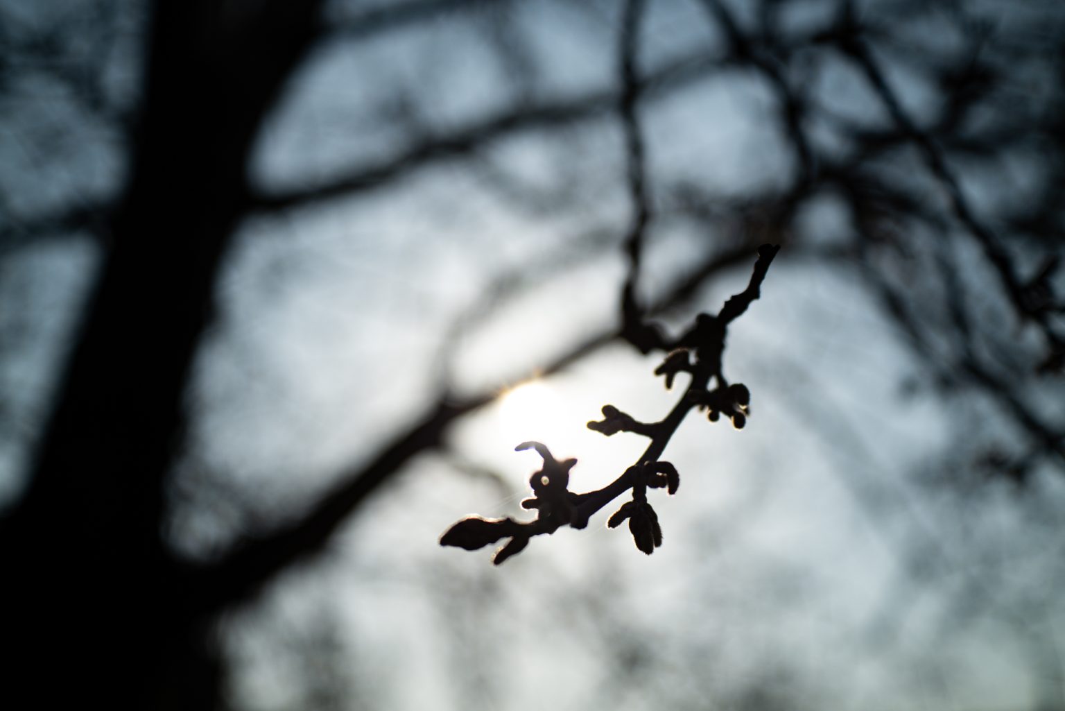 Galeria zdjęć 2000px wykonana za pomocą aparatu Sigma BF i obiektywu TTArtisan AF 40mm F2 ED ASPH.